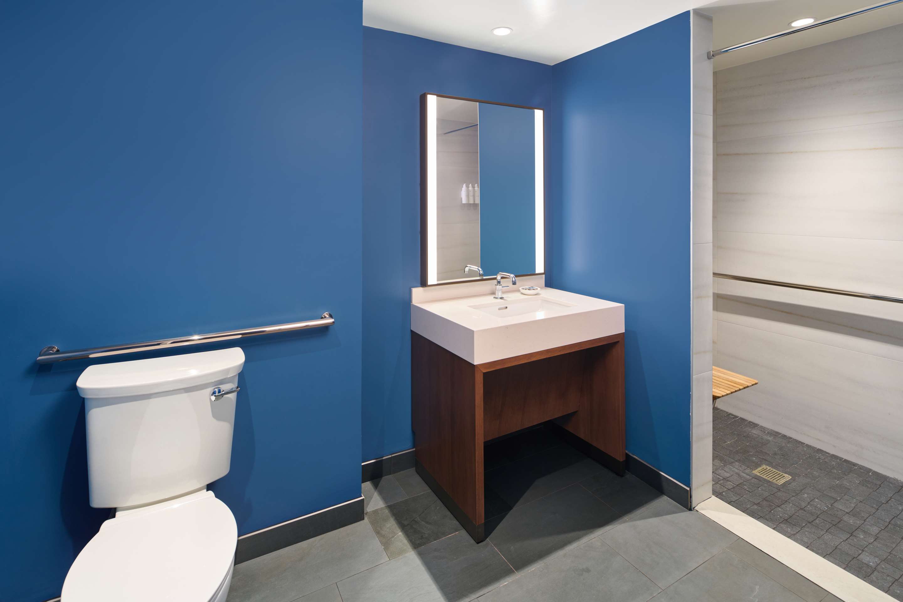 Suite Accesible Deluxe 