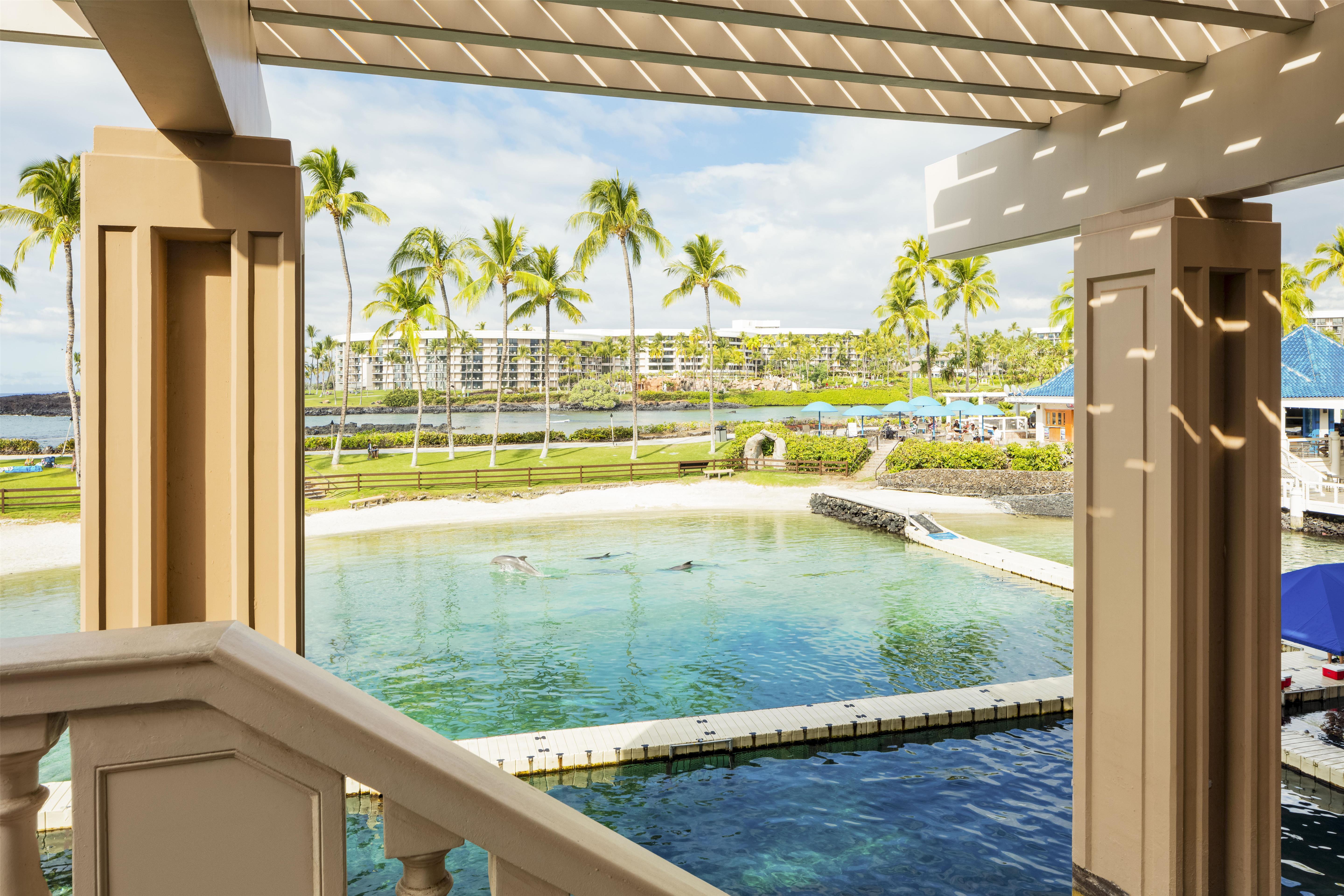 Suite Ocean View
