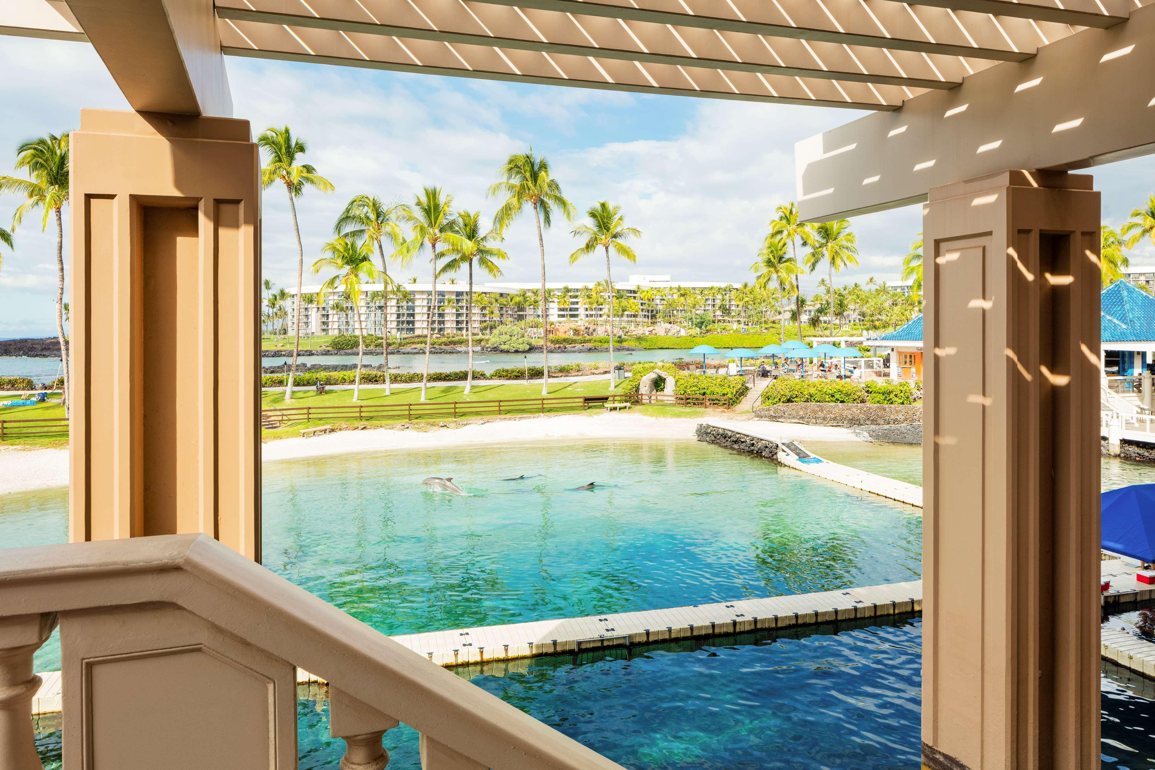 Suite Ocean View