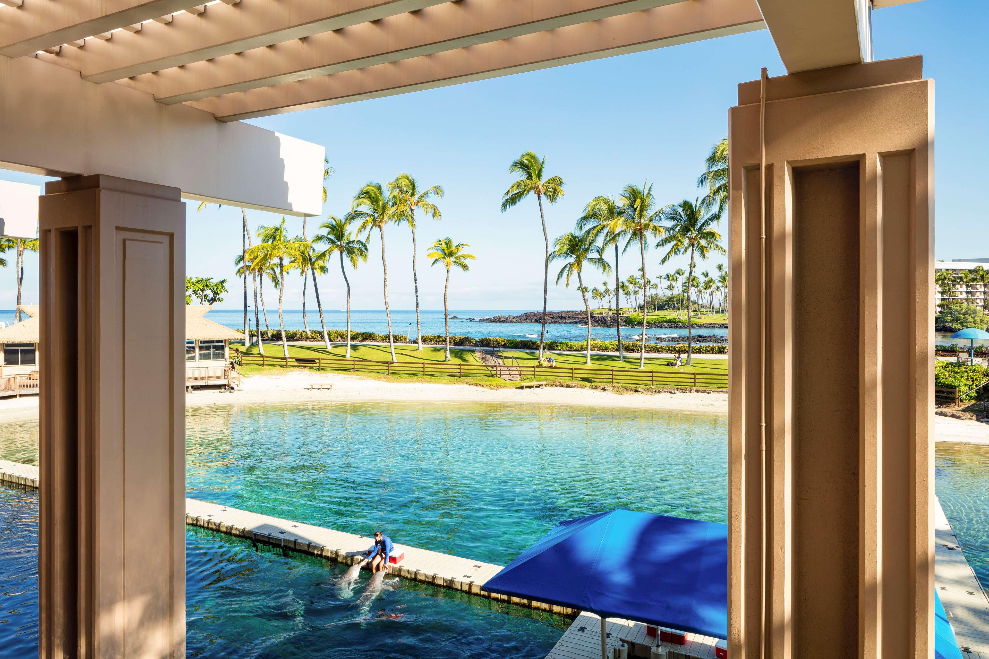 Suite Ocean View