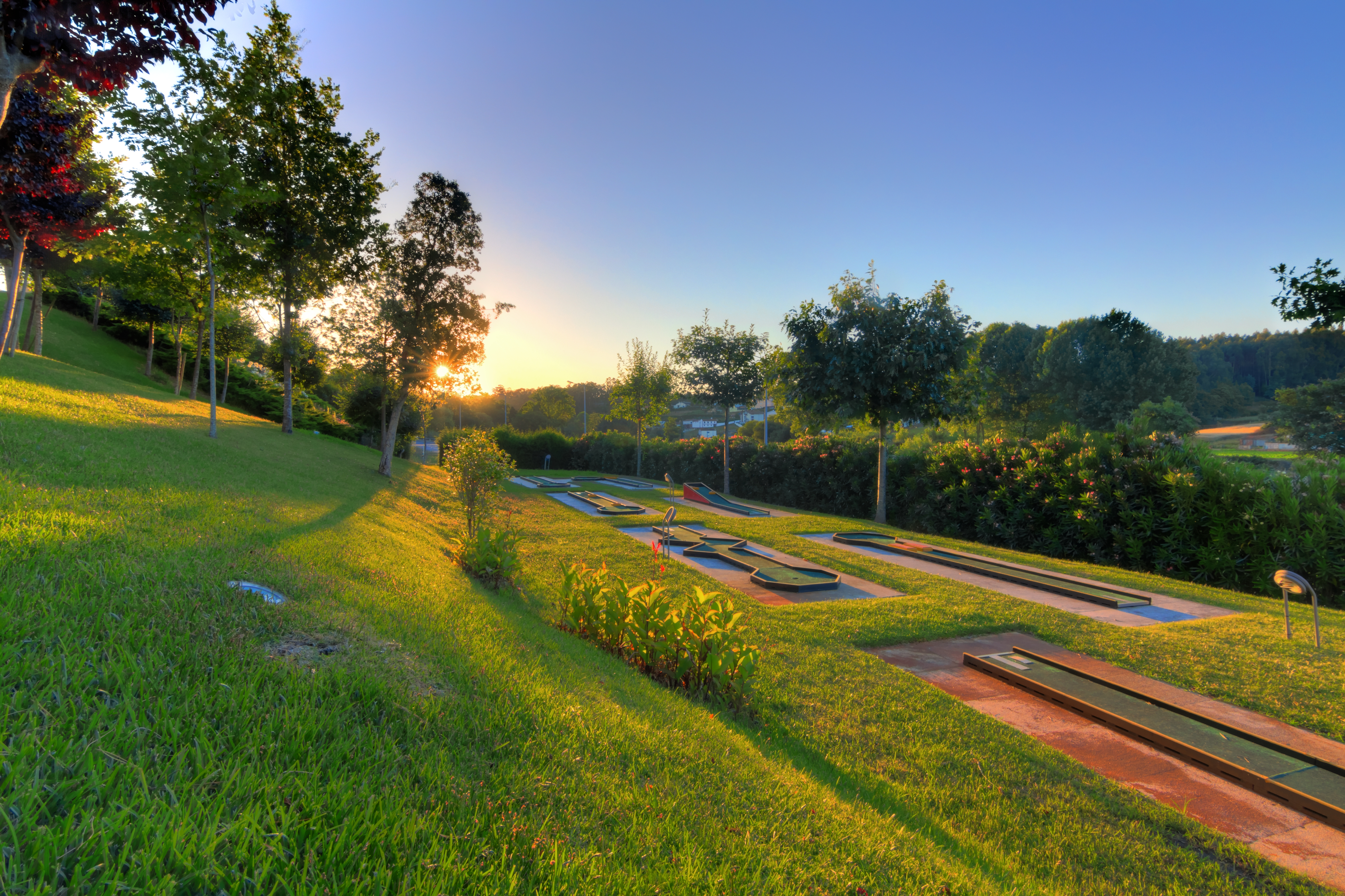 Sports and Entertainment