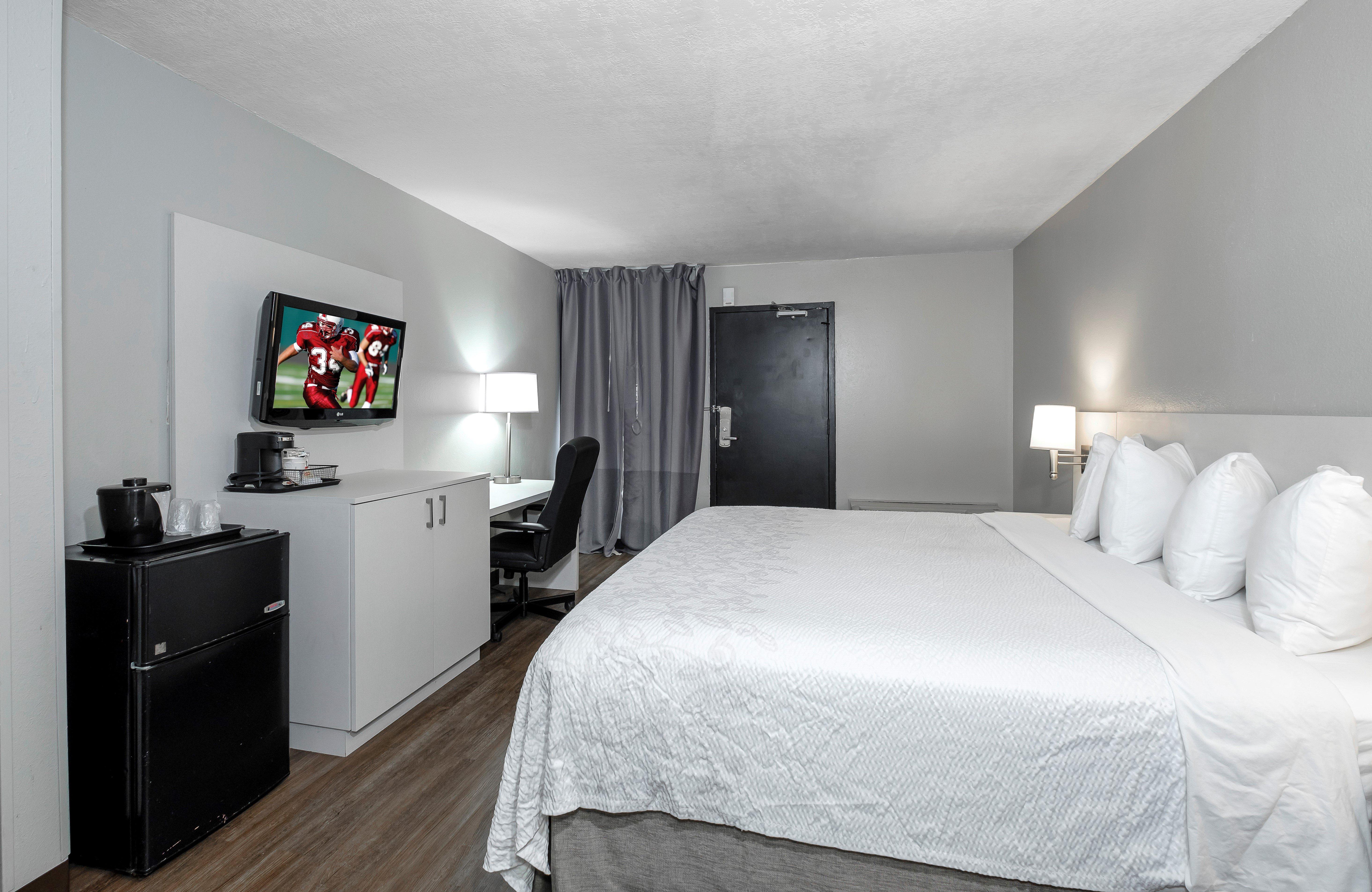 Room Accessible King Size Bed