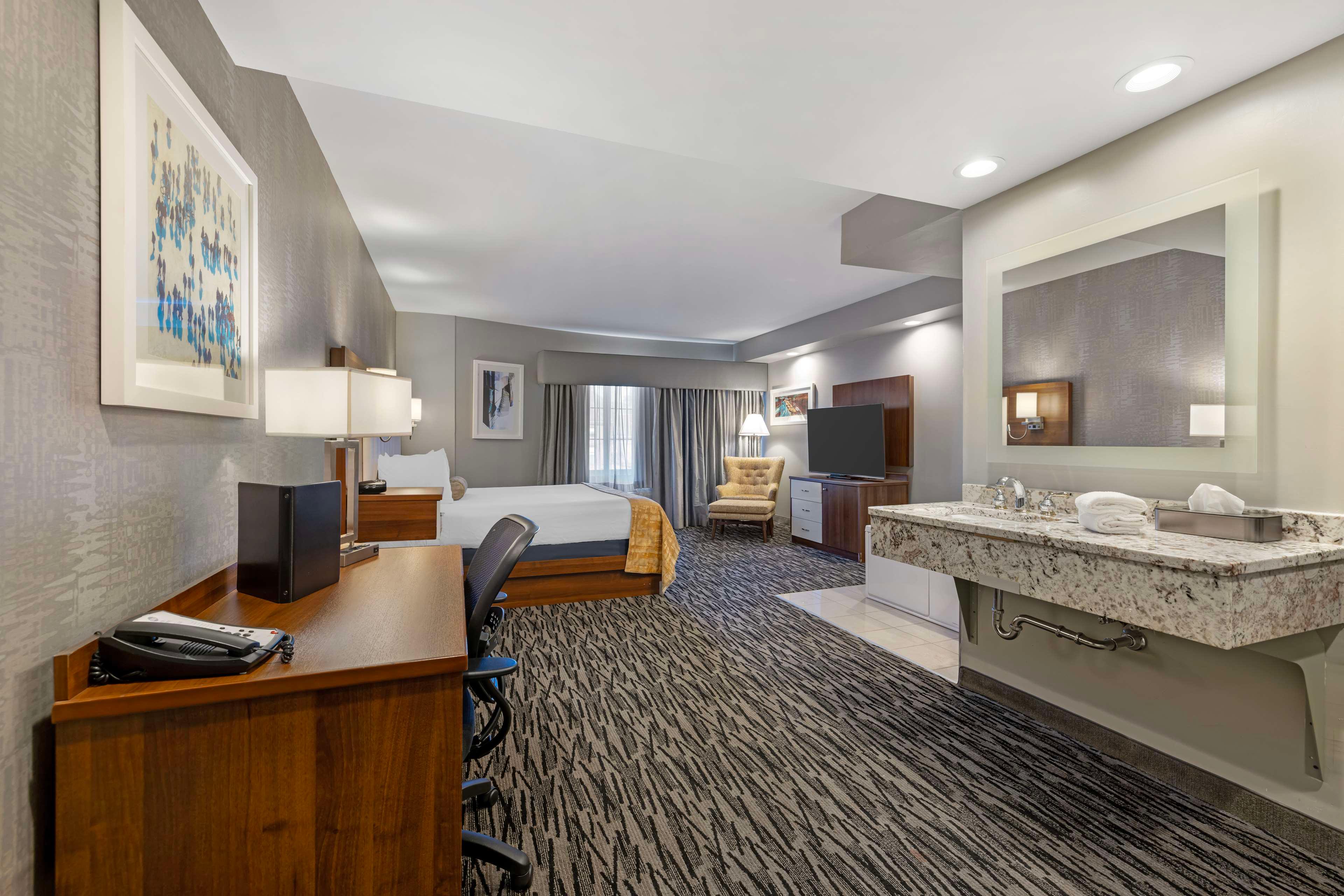 Suite King Bed Non Smoking