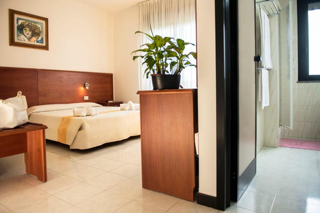 Double or Twin Standard