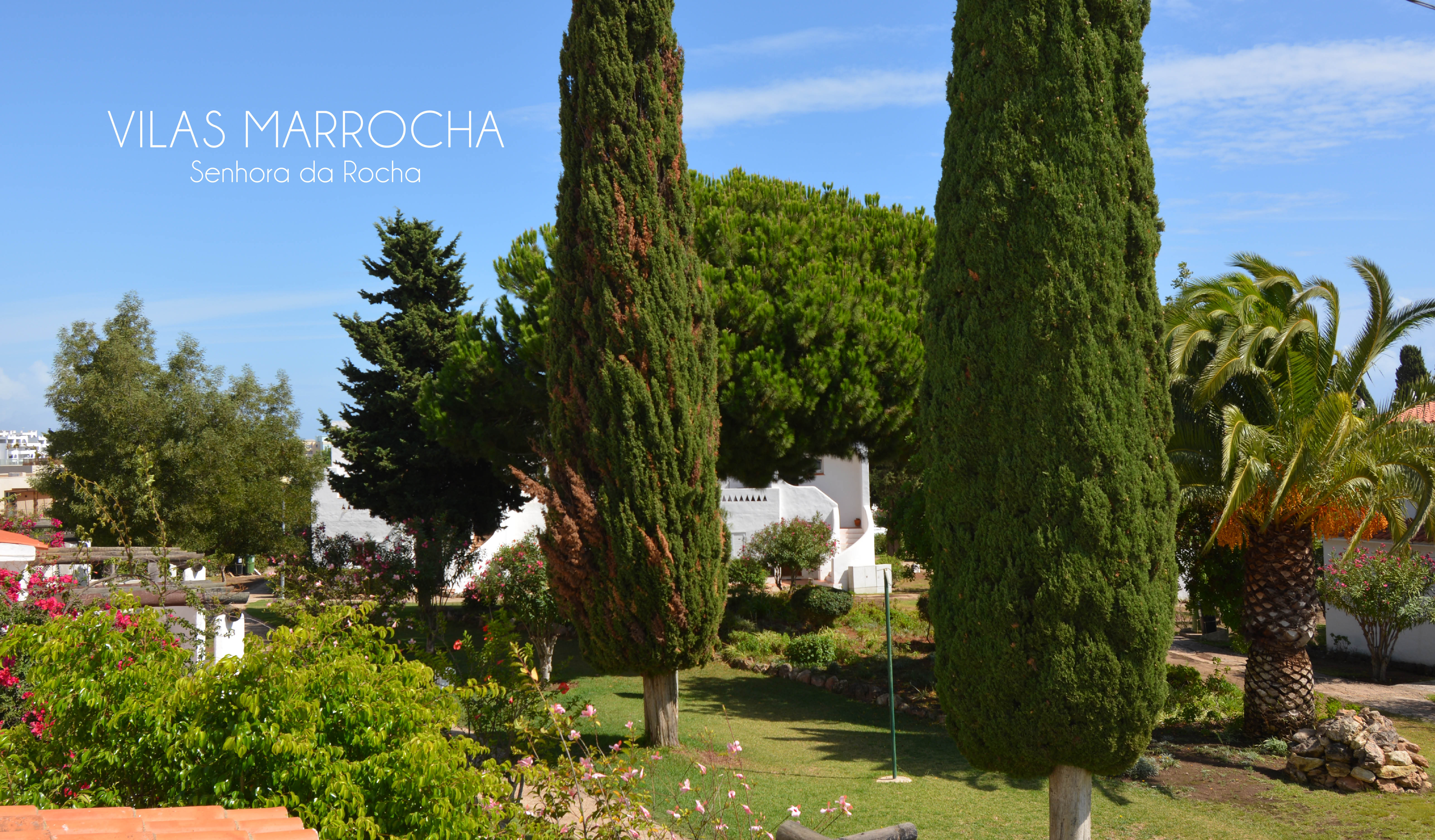 Apartment One Bedroom