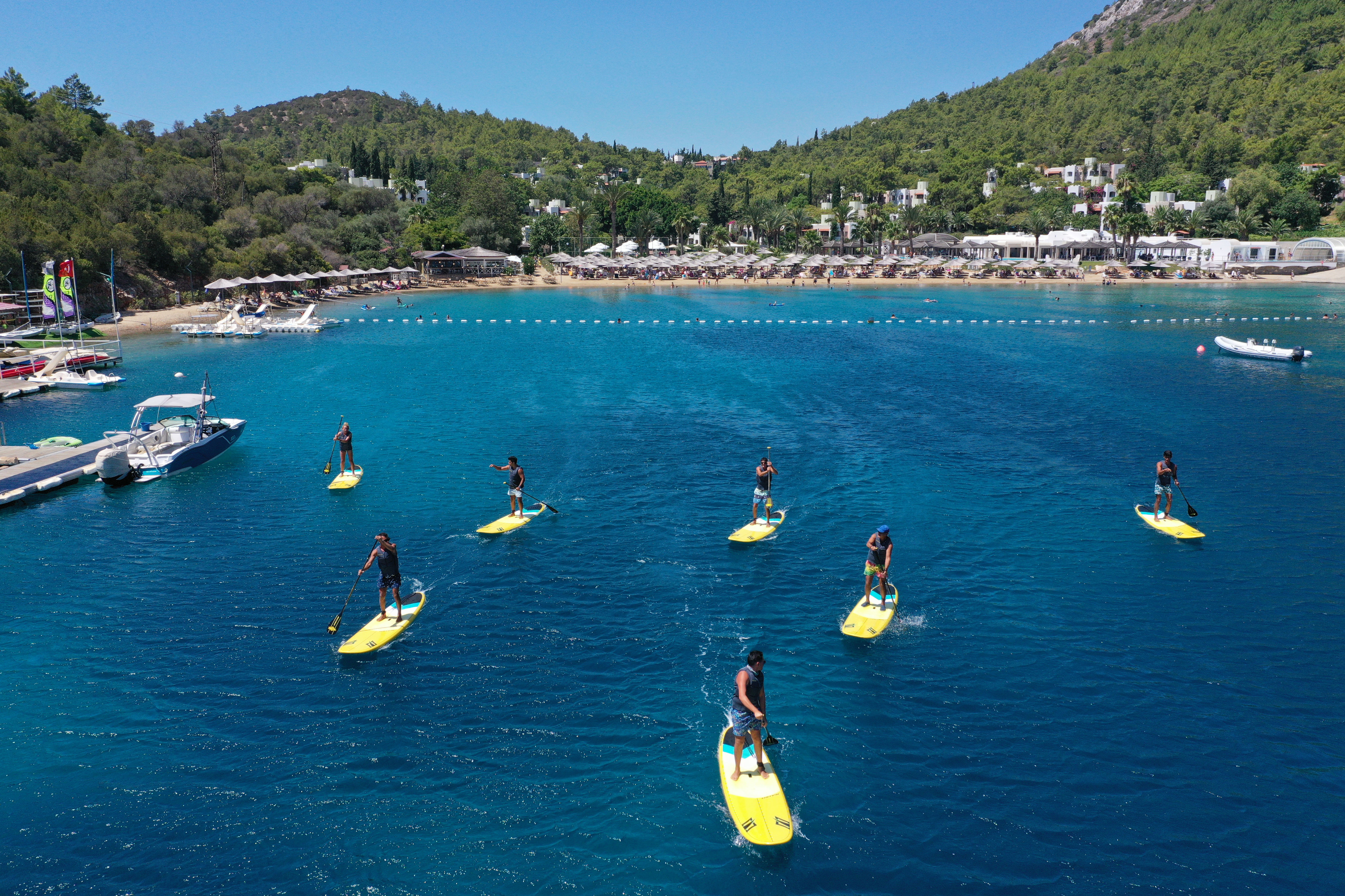 Sports and Entertainment