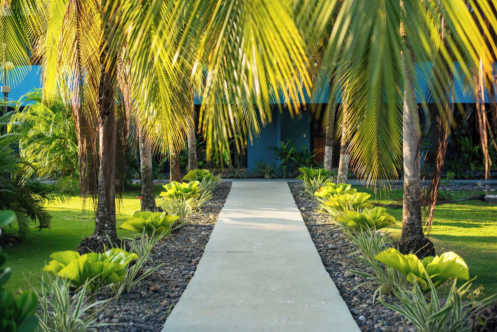 Family Room Two Queen Beds