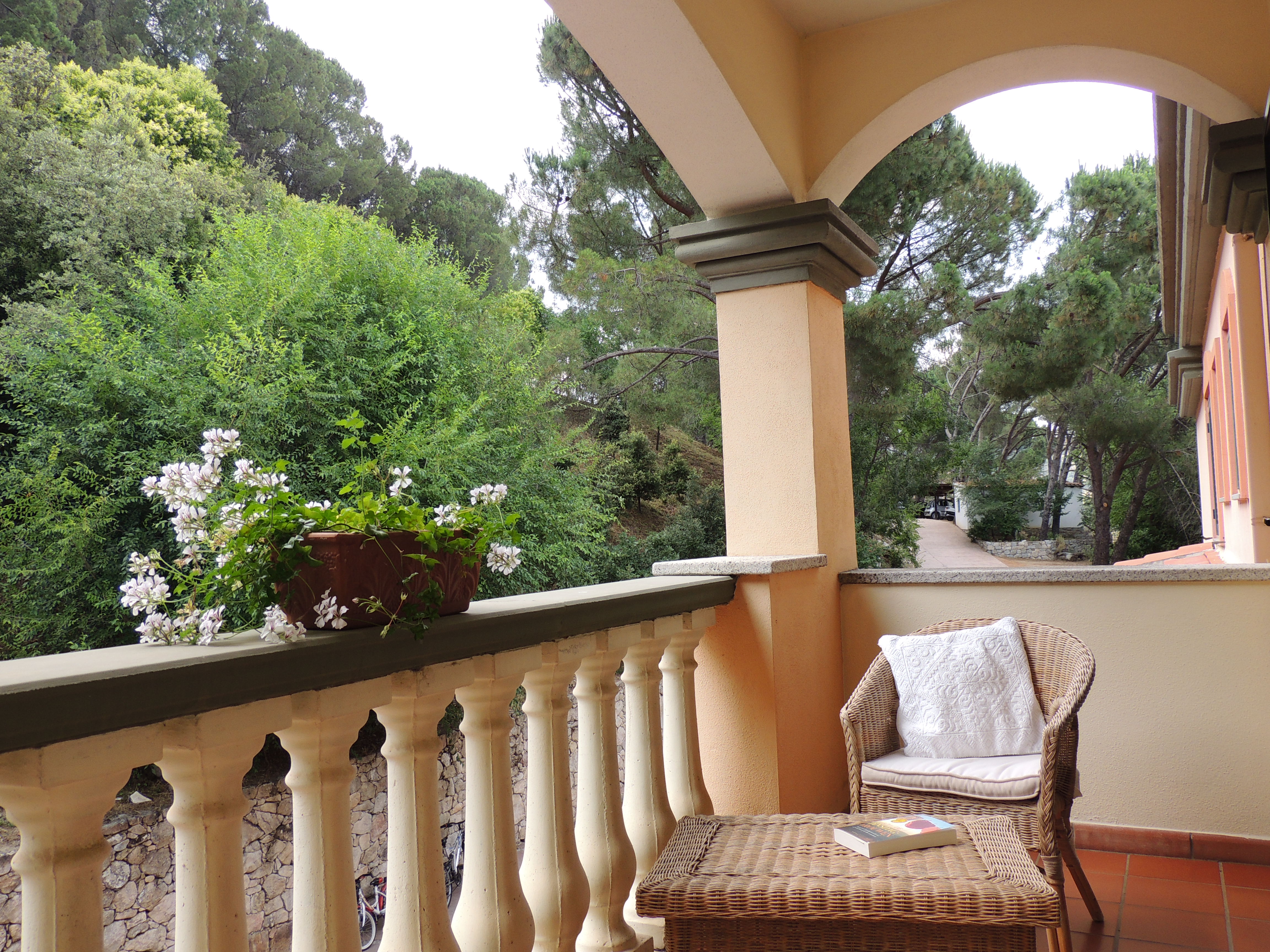 Double Single Garden View