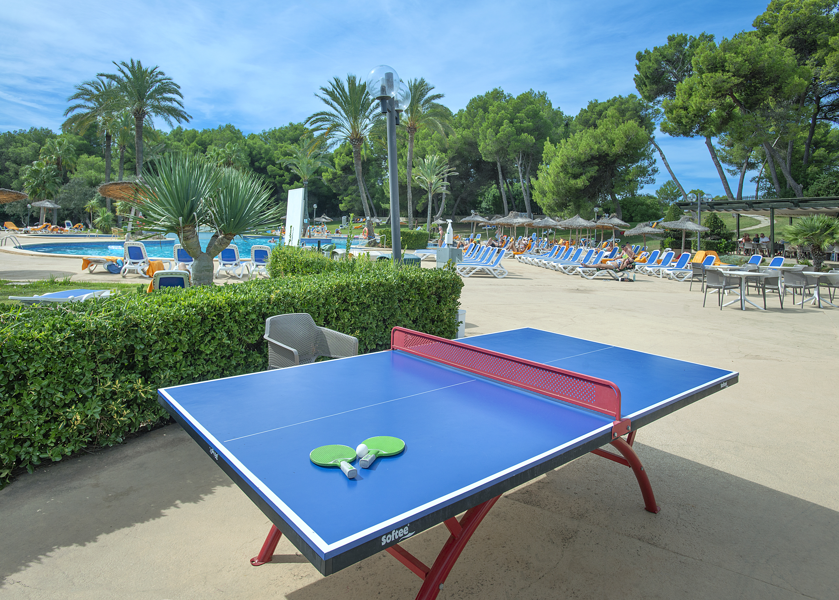 Sports and Entertainment