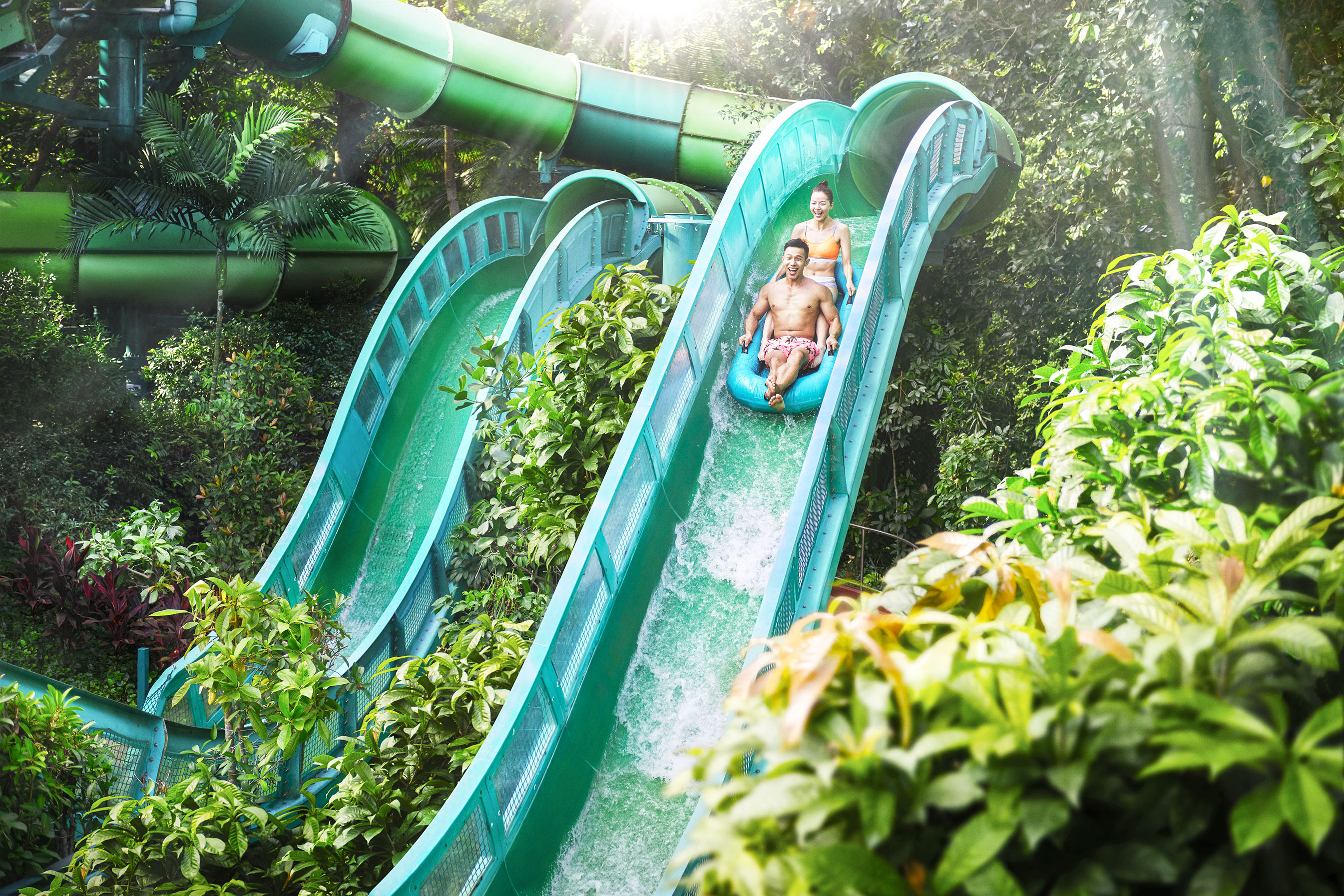 Sports and Entertainment