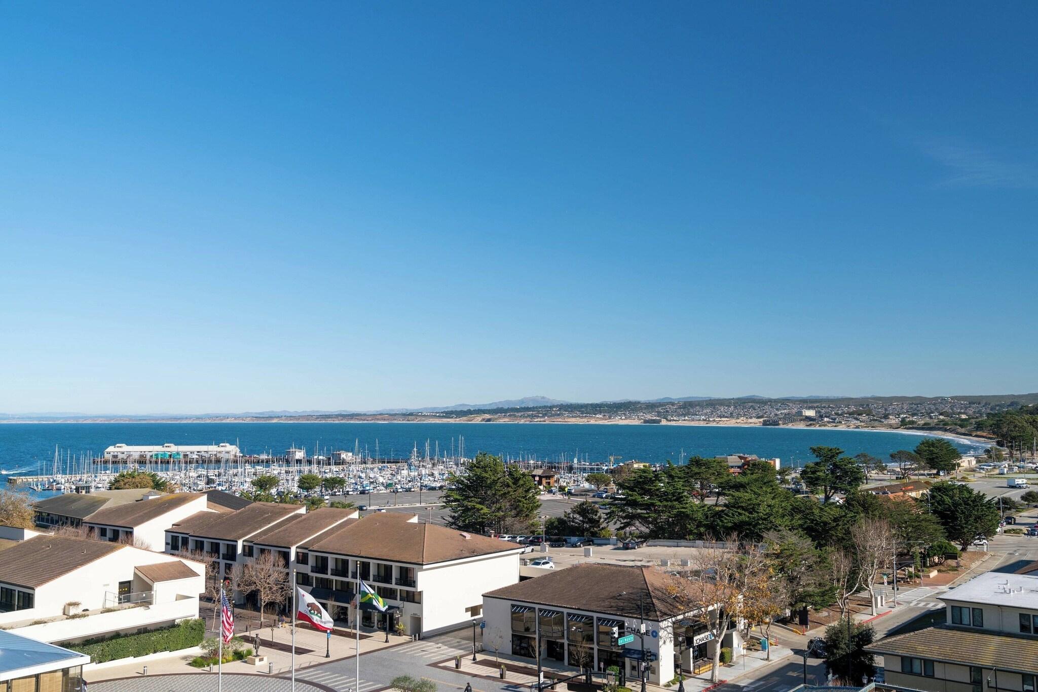 Double Bay View