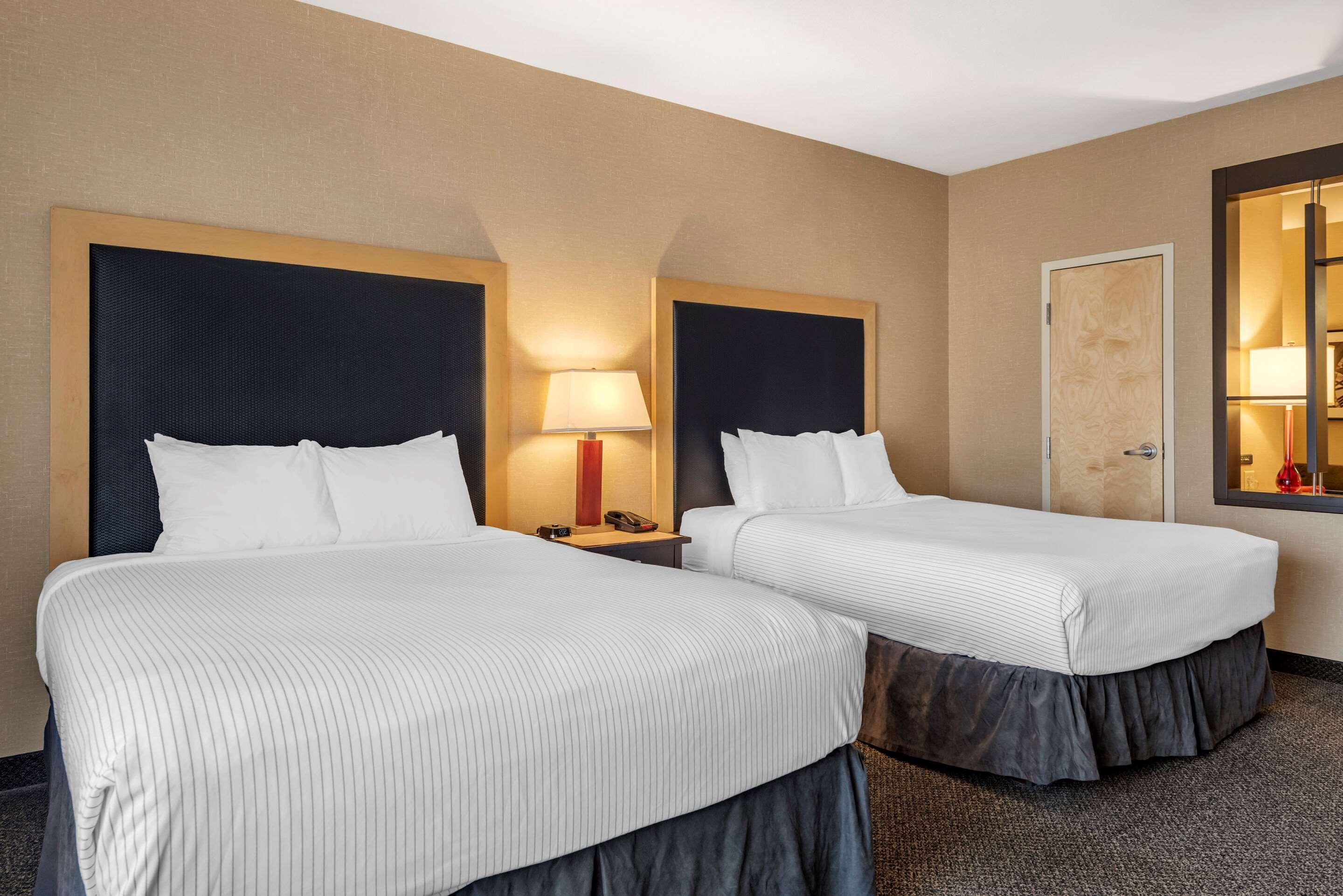 Suite Two Queen Beds