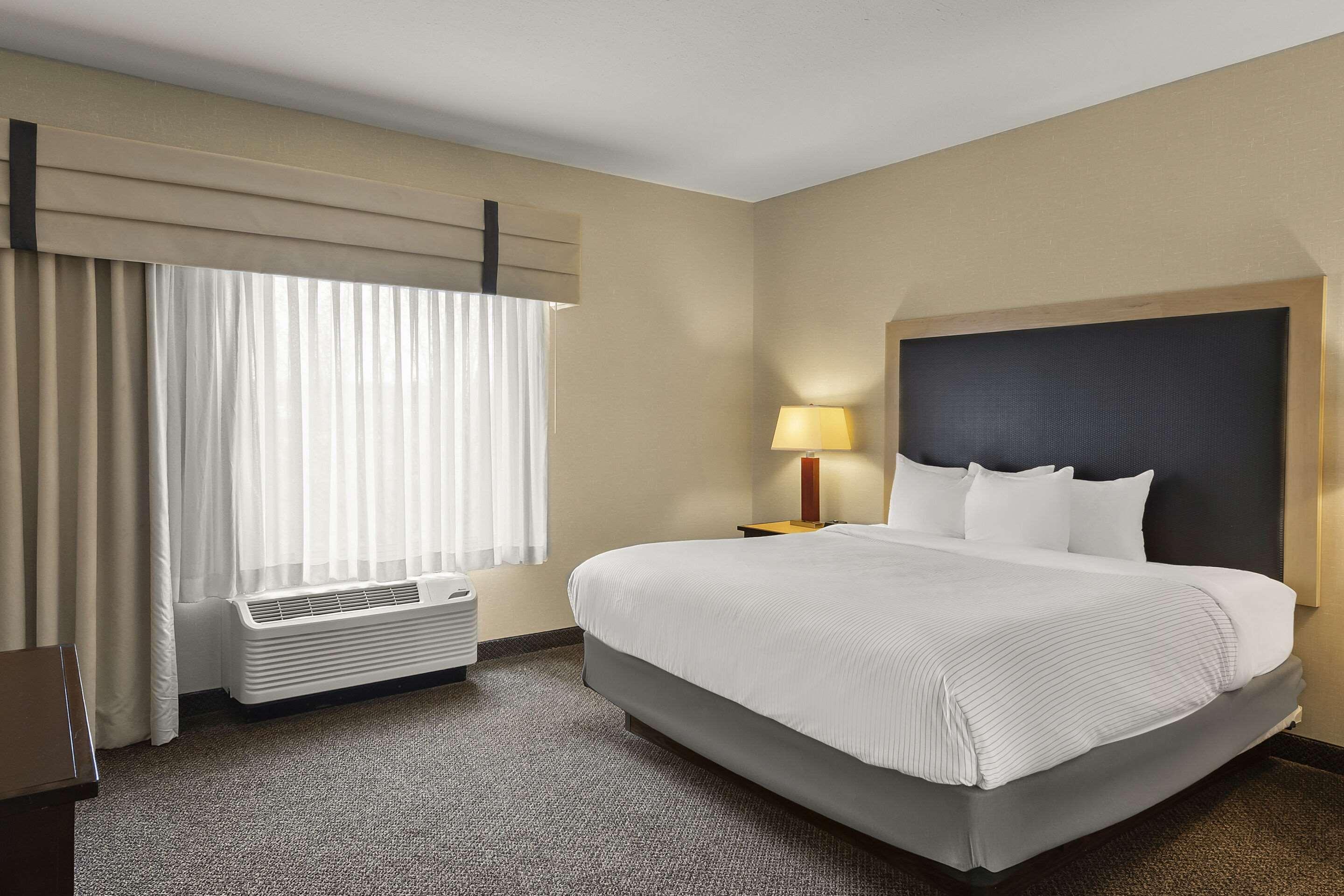 Suite King Bed Non Smoking