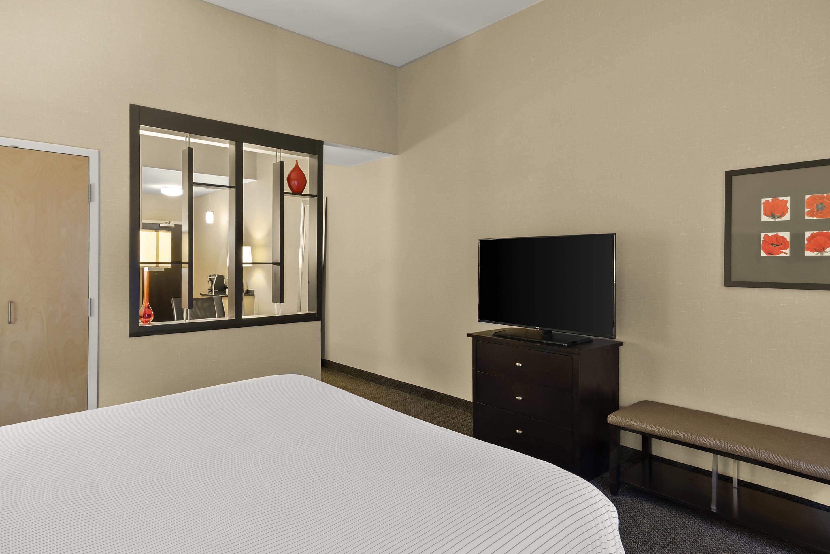 Suite King Bed Non Smoking