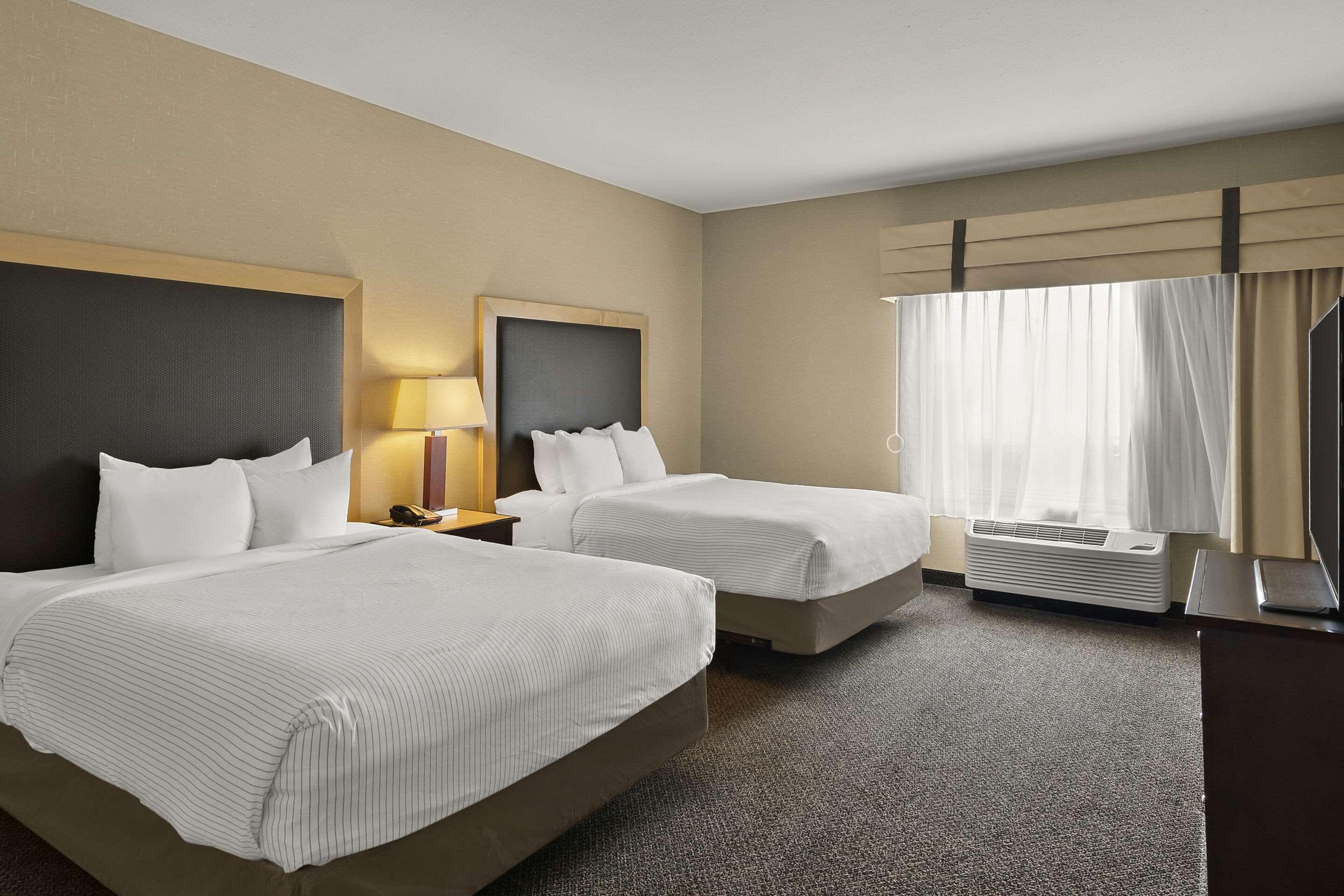 Suite Two Queen Beds