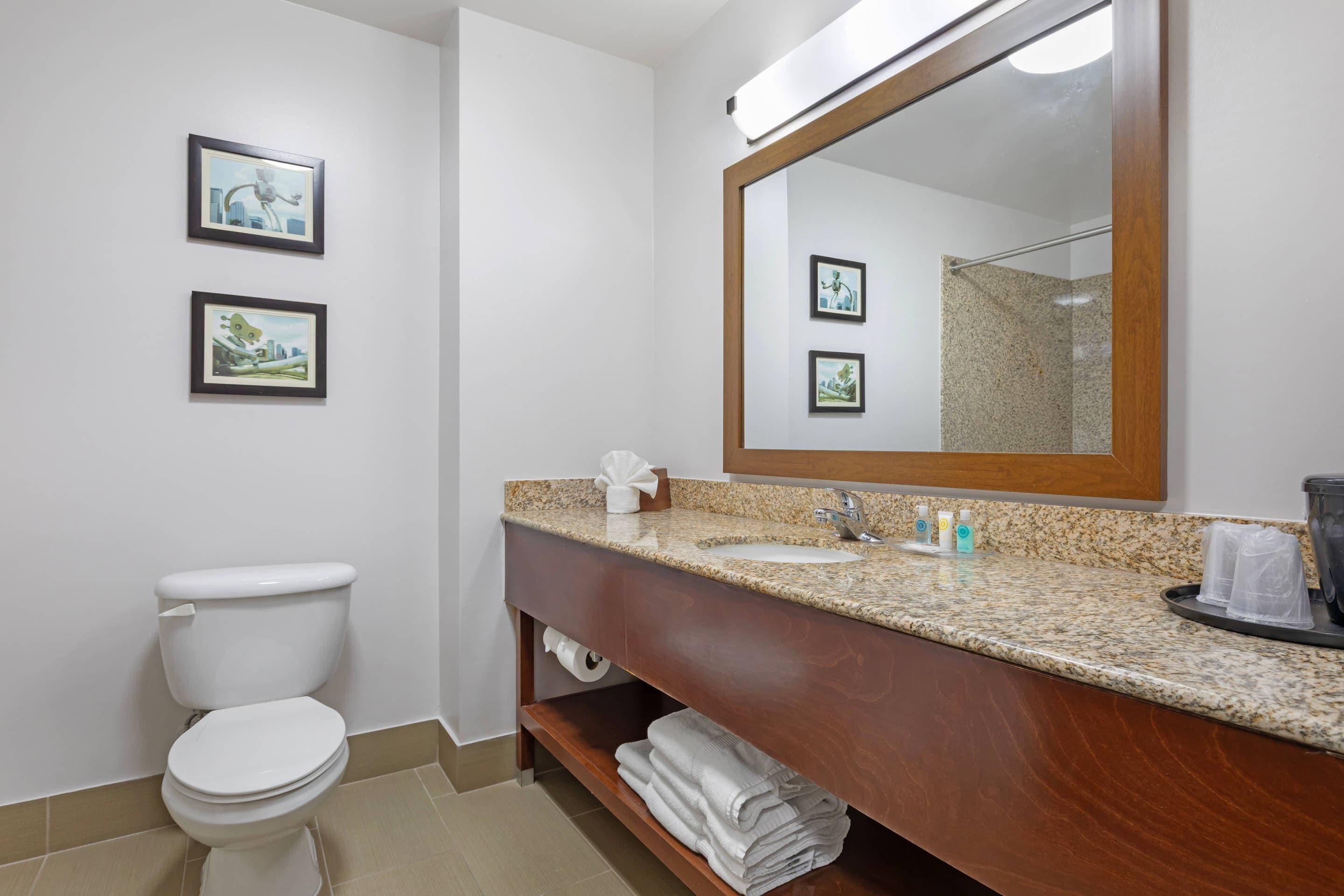 Suite King Bed Non Smoking