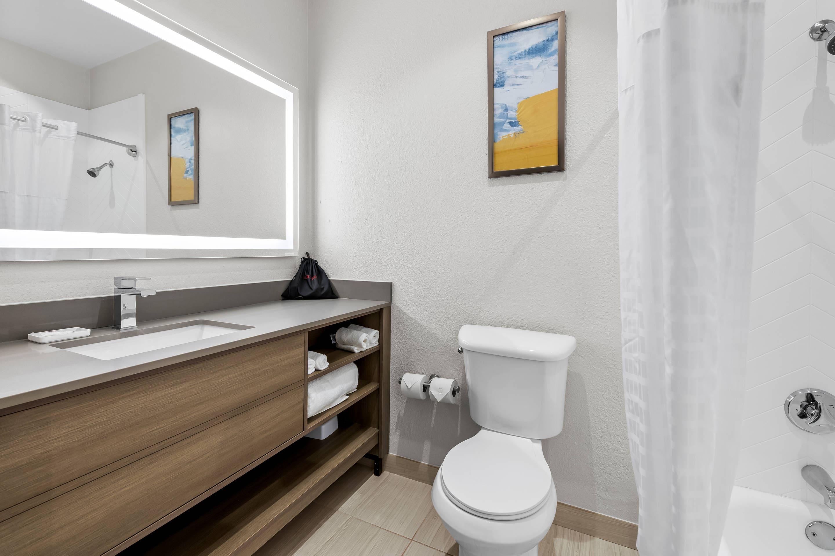 Suite King Bed Non Smoking