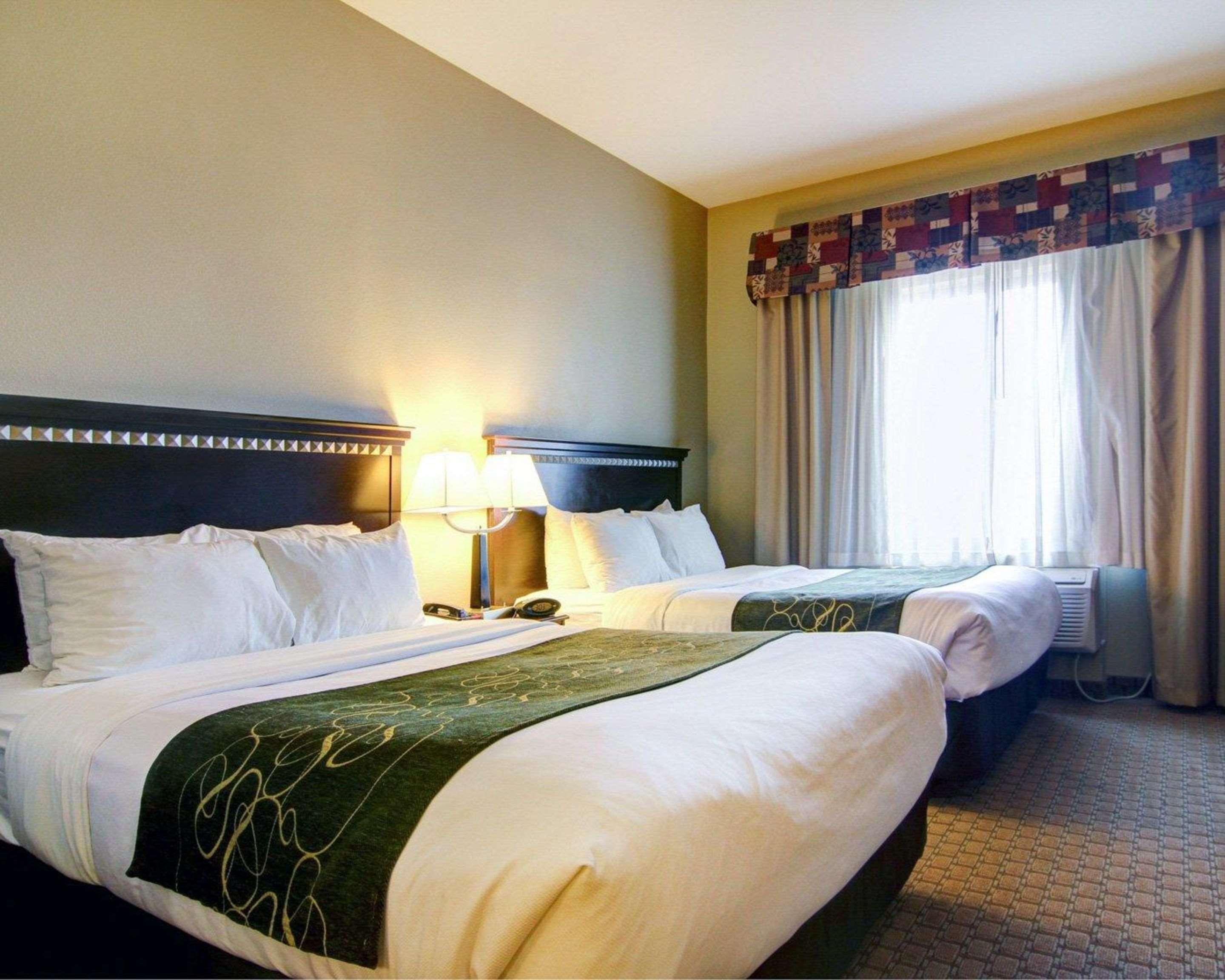 Suite Two Queen Beds