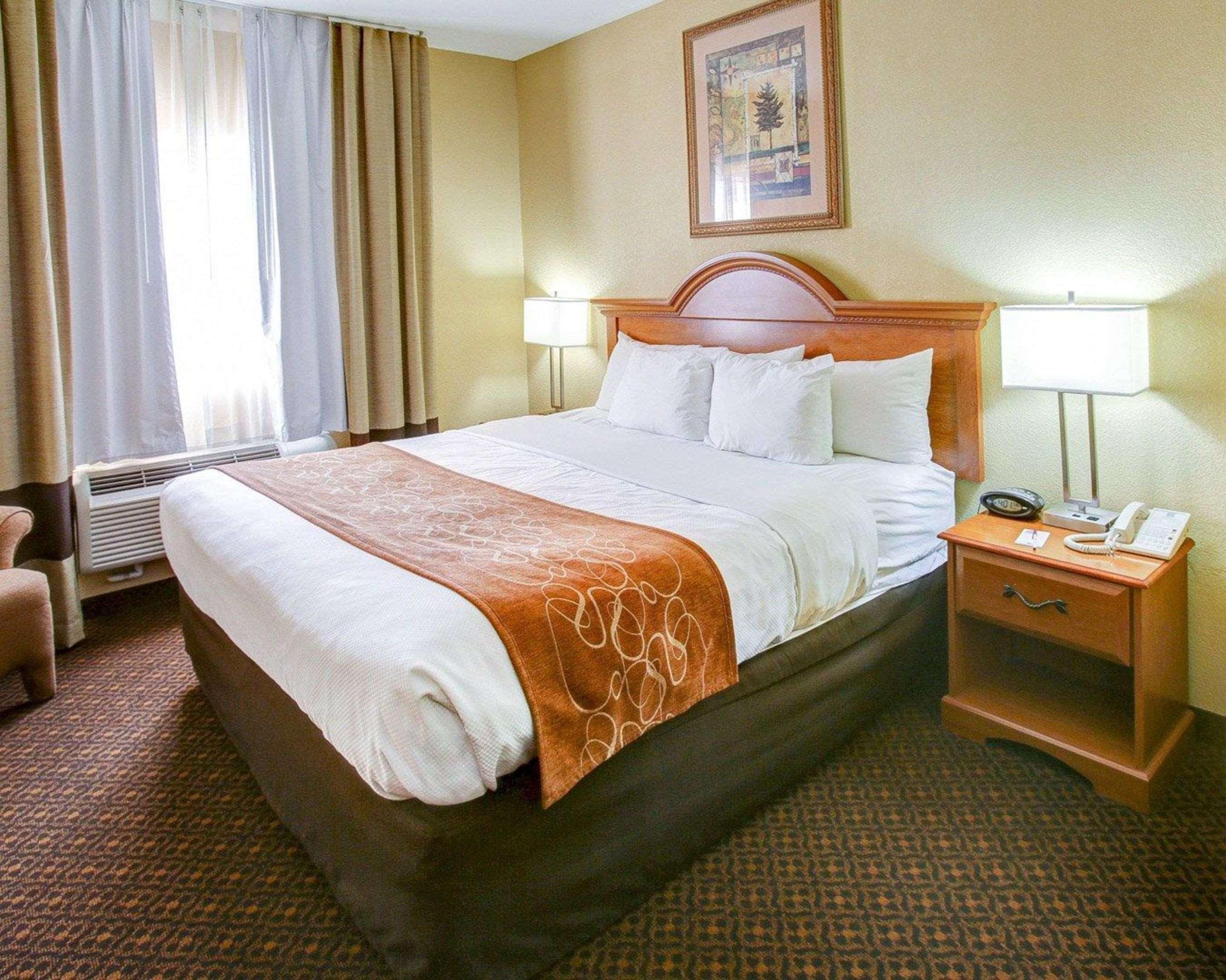 Suite King Bed Non Smoking