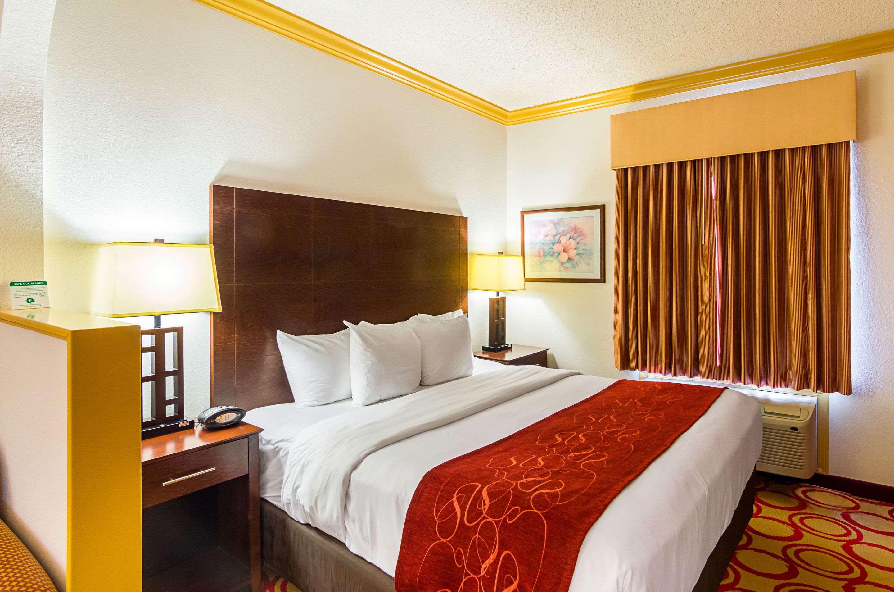 Suite King Bed Non Smoking