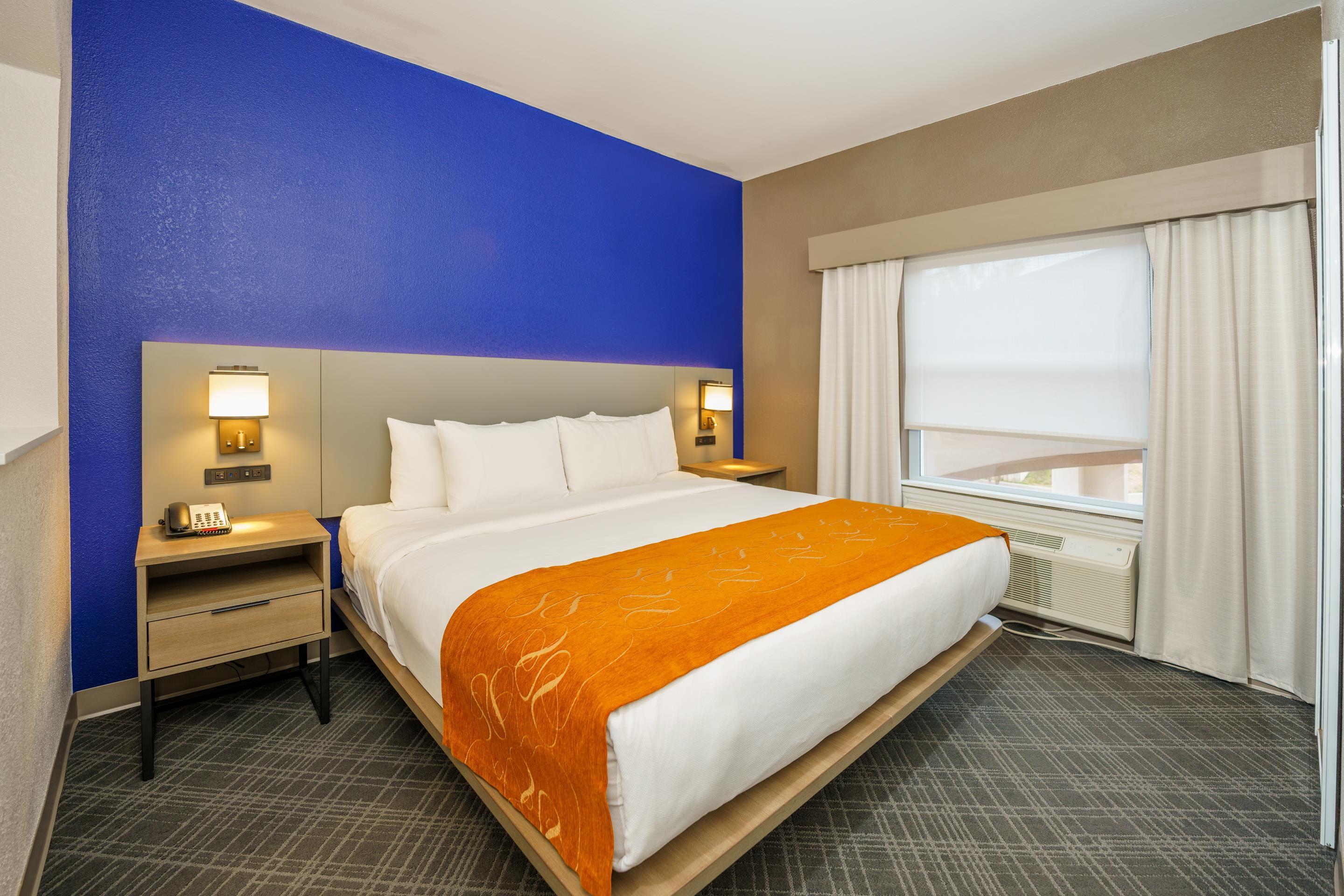 Suite King Bed Non Smoking