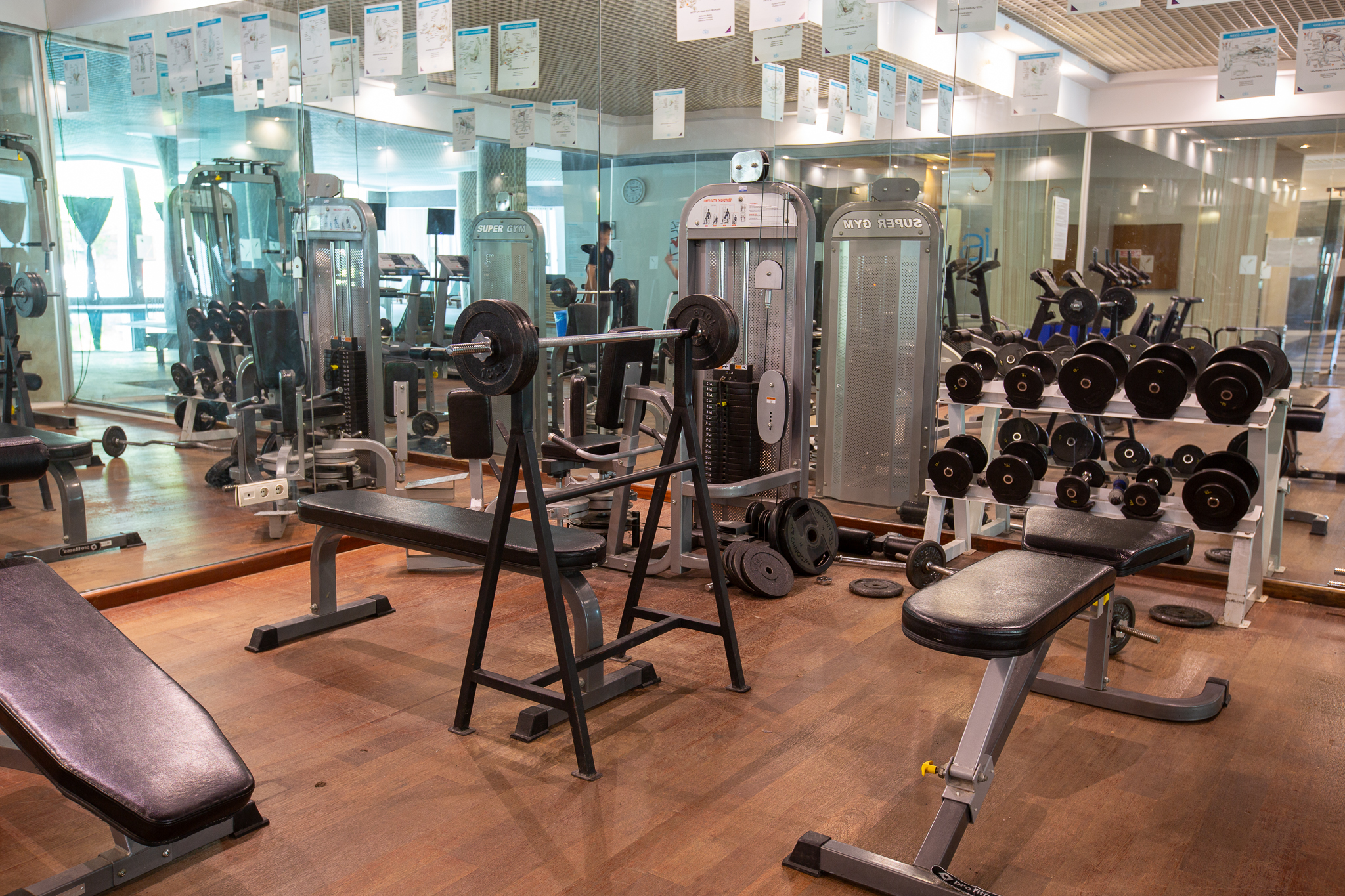 Sports and Entertainment