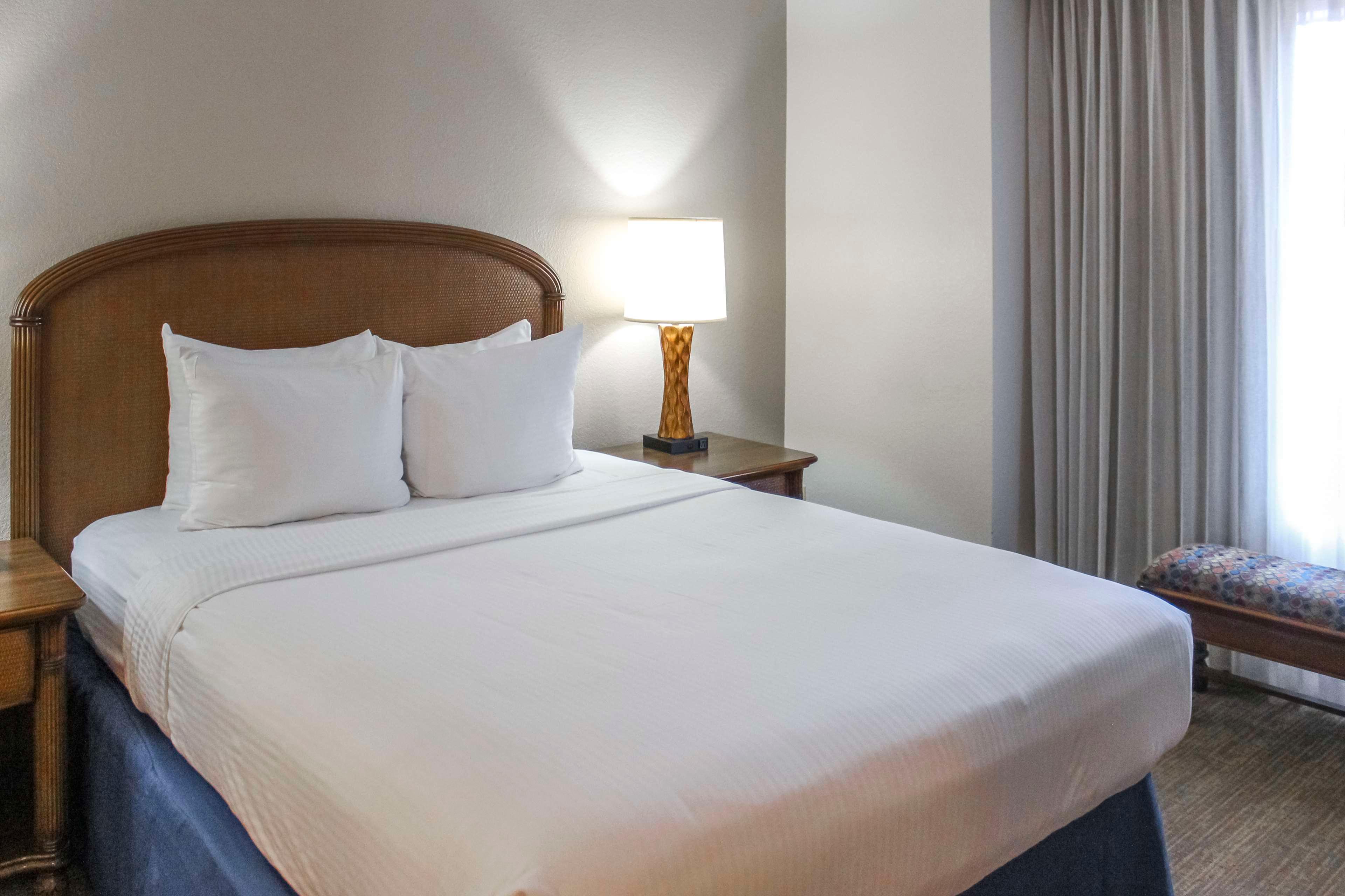 Suite King Bed One Bedroom 