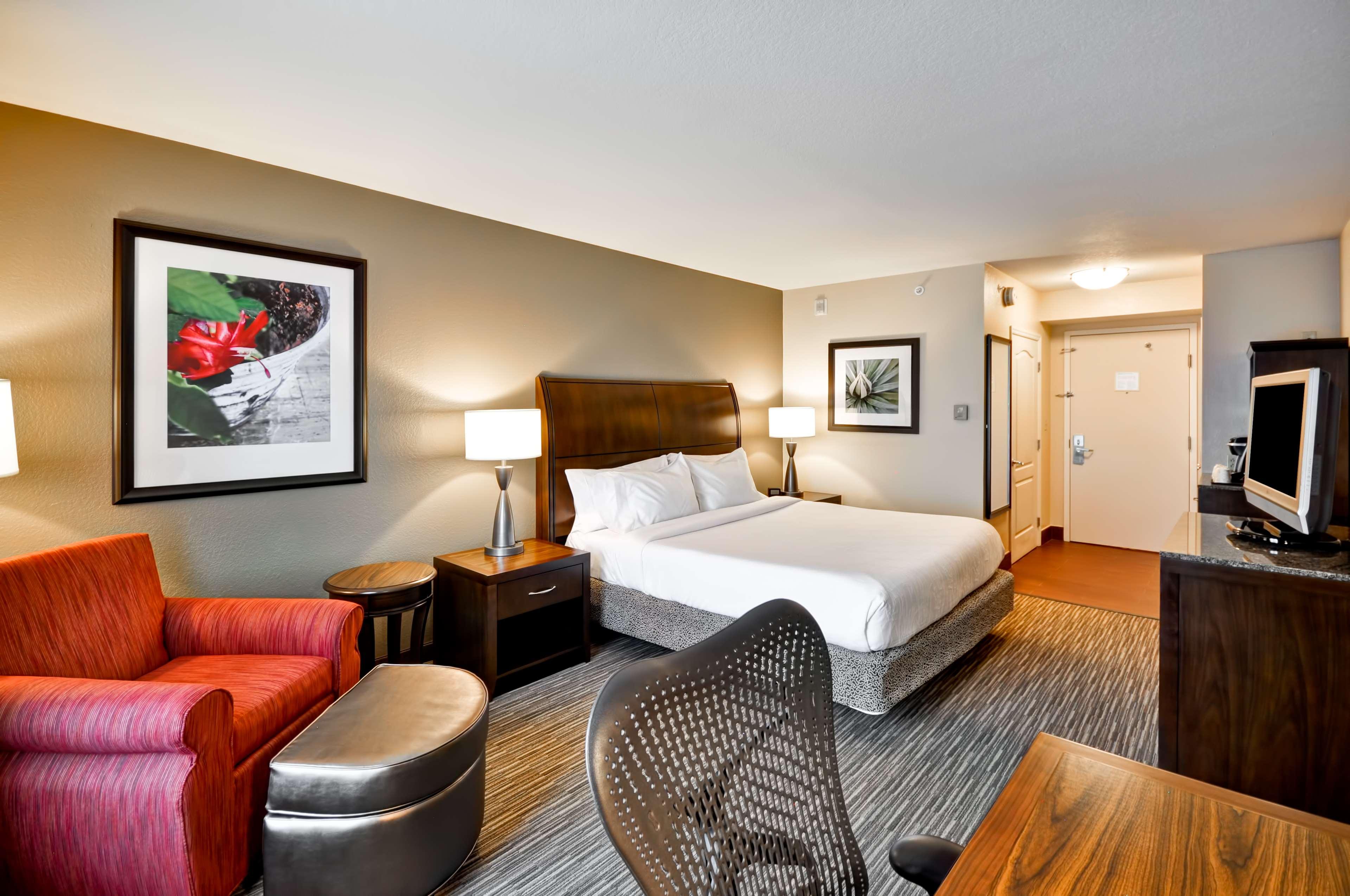 Suite King Bed One Bedroom 