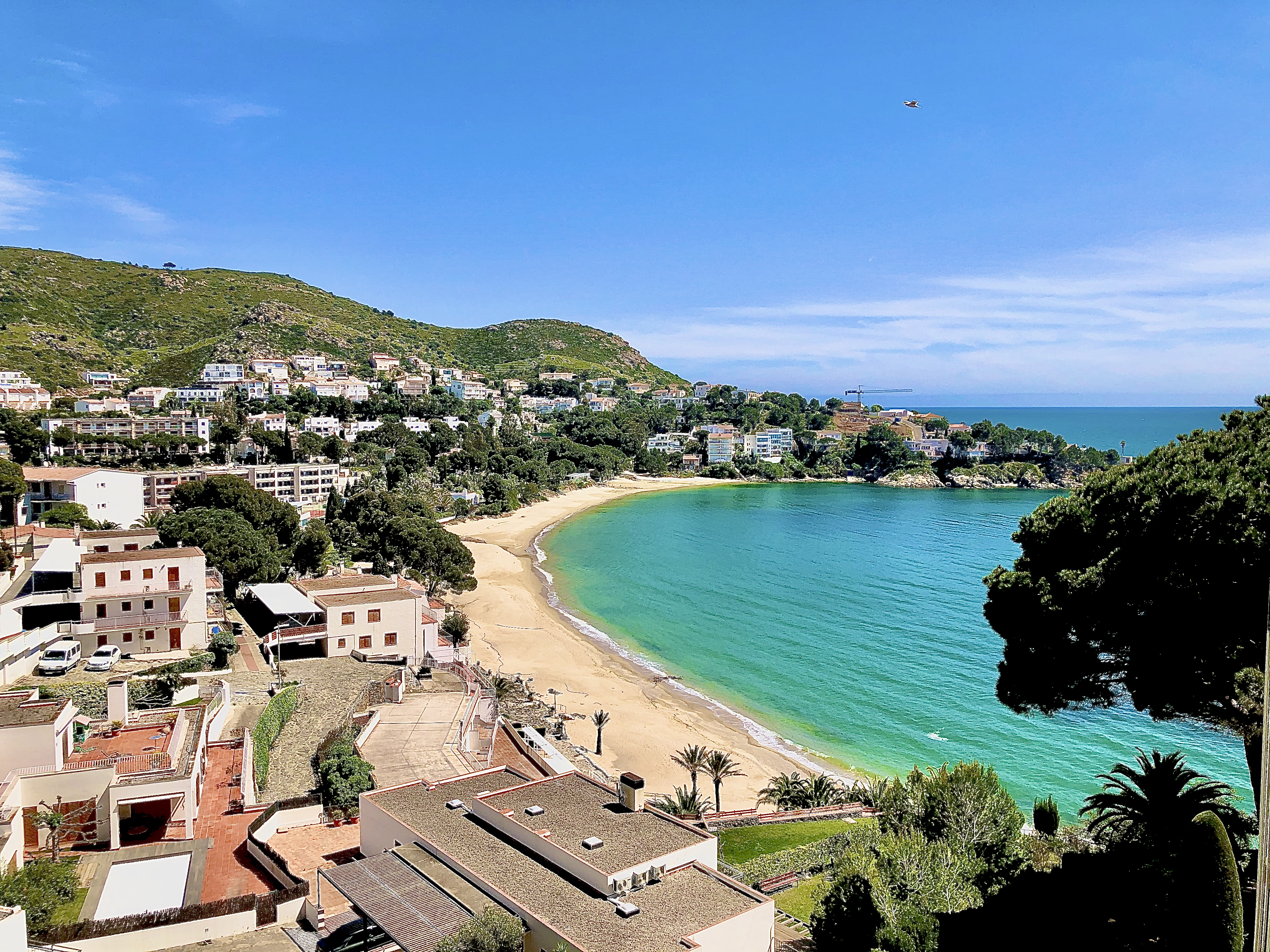 Double Single Classic