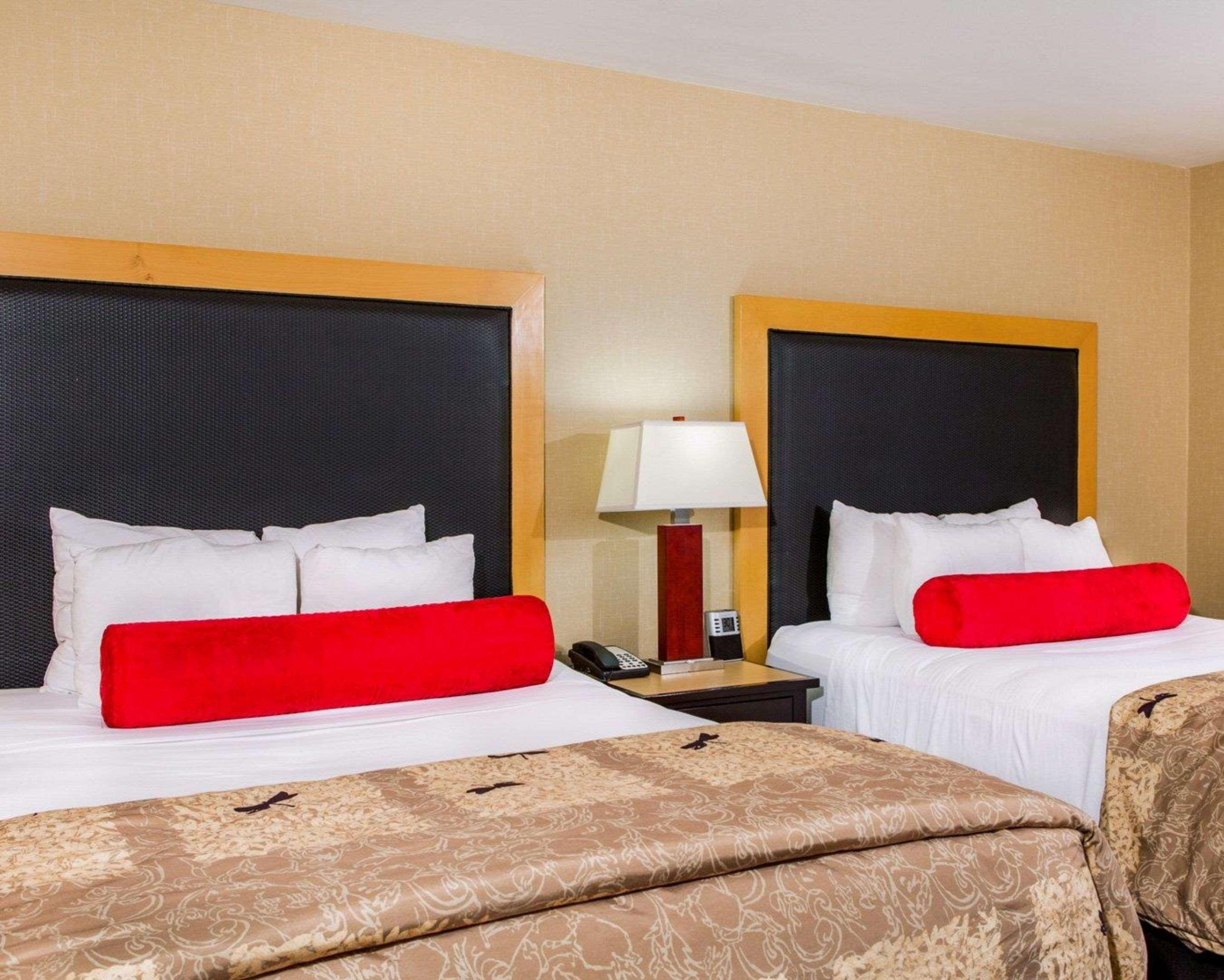 Suite Two Queen Beds Non Smoking