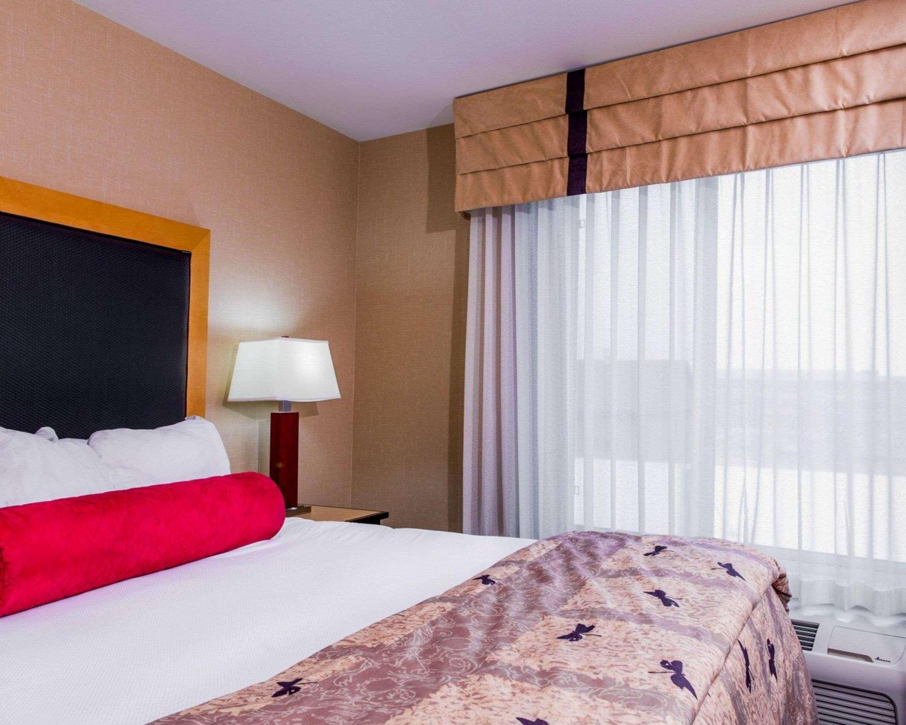 Suite King Bed Non Smoking