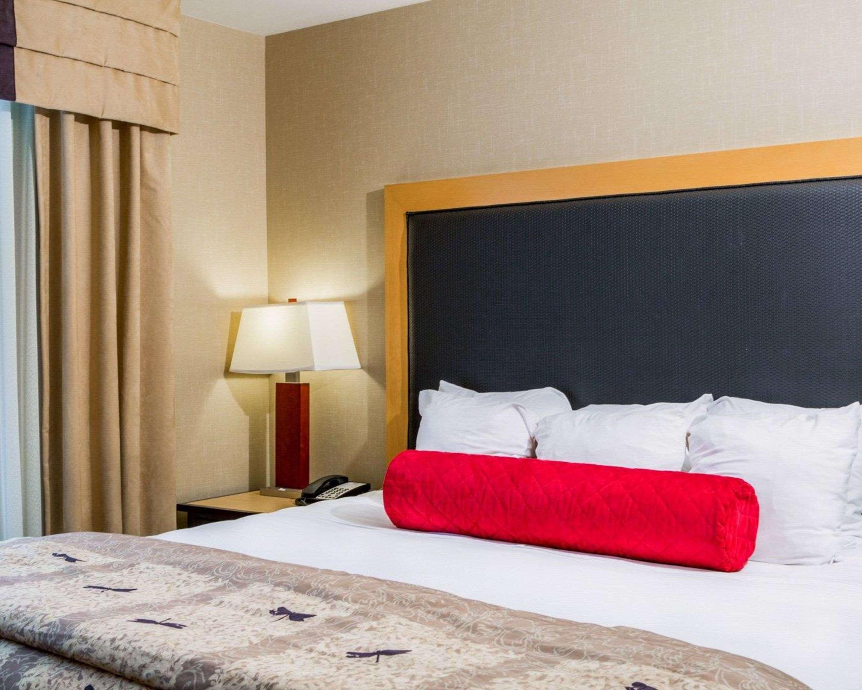 Suite King Bed Non Smoking