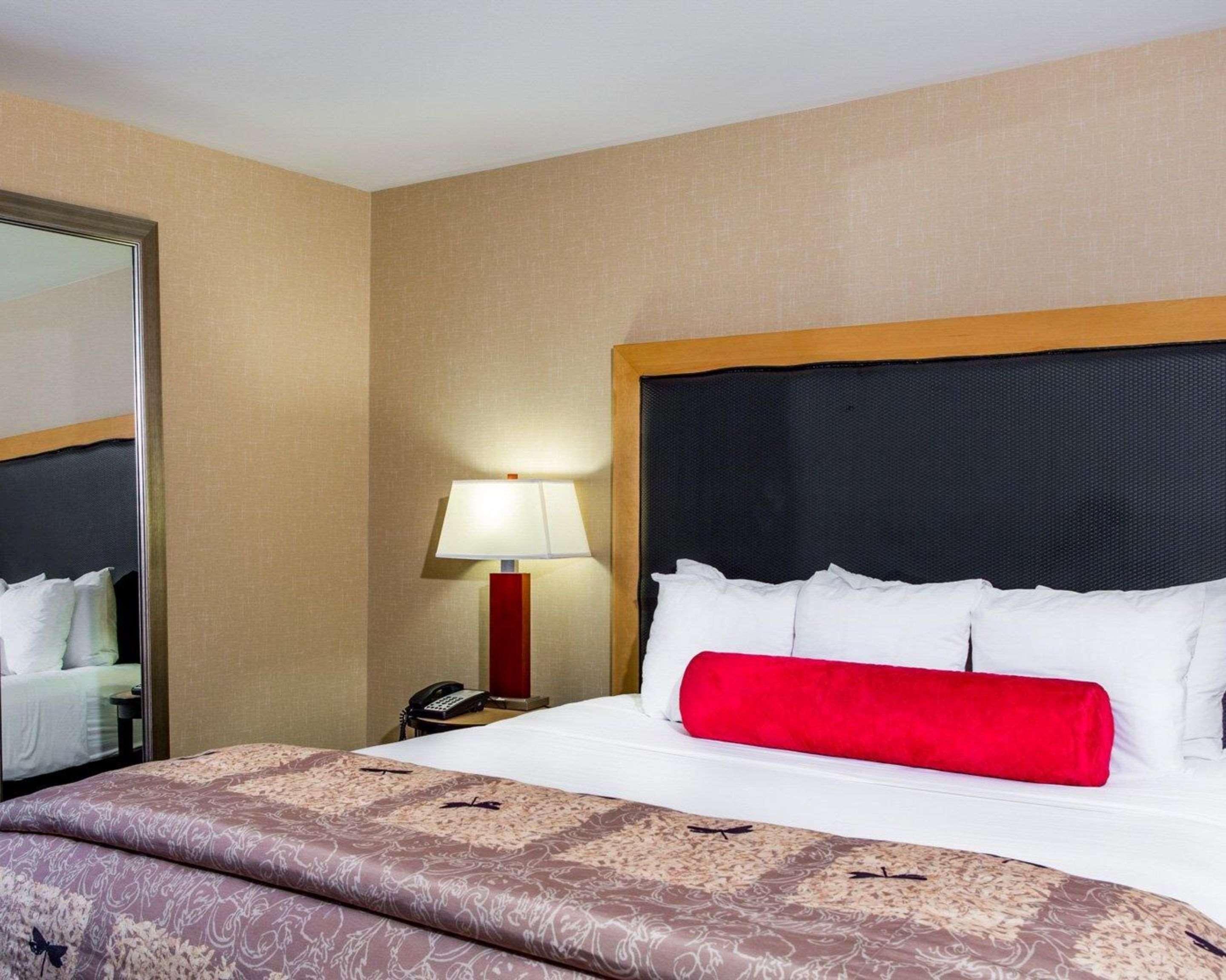 Suite King Bed Non Smoking