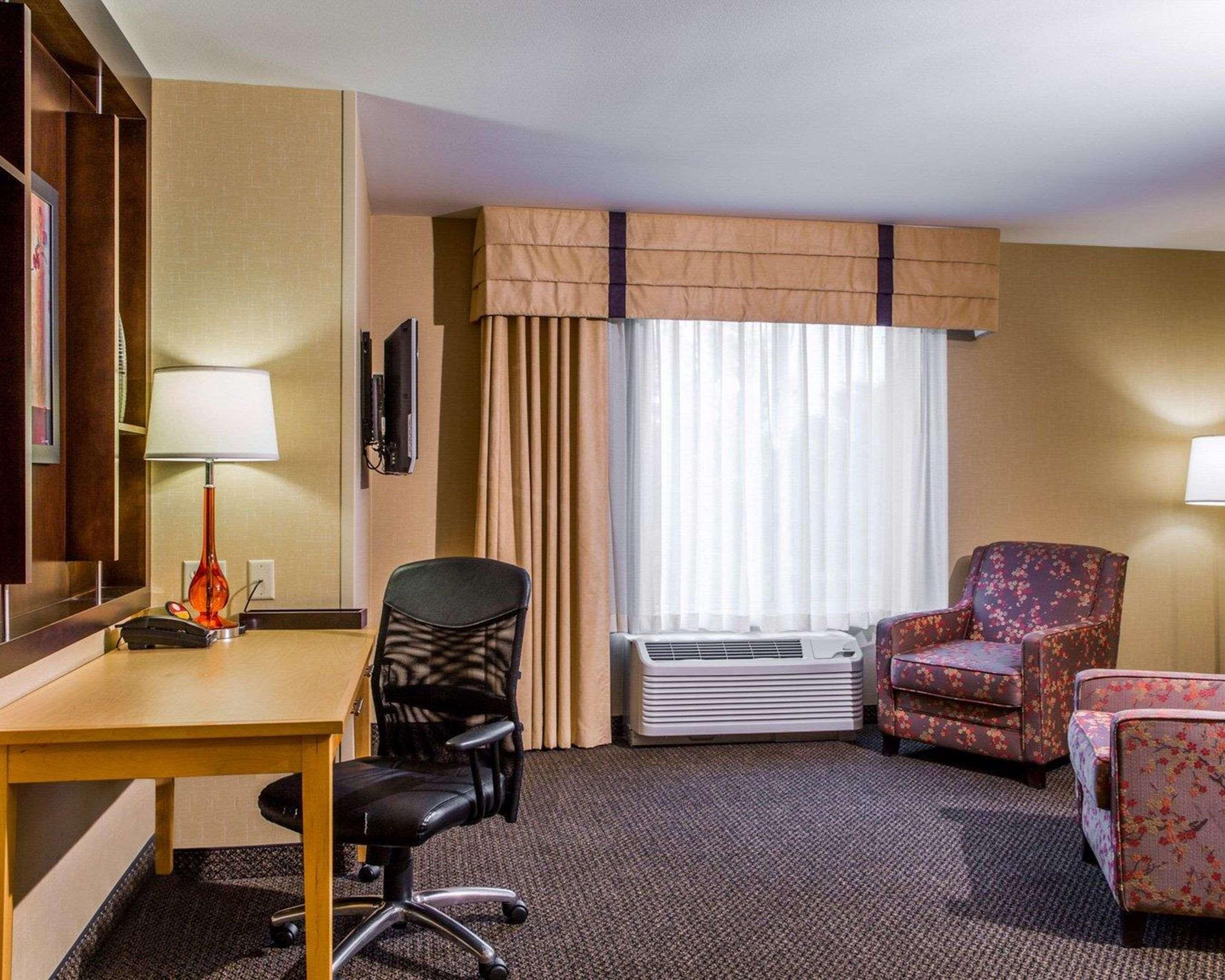 Suite King Bed Non Smoking