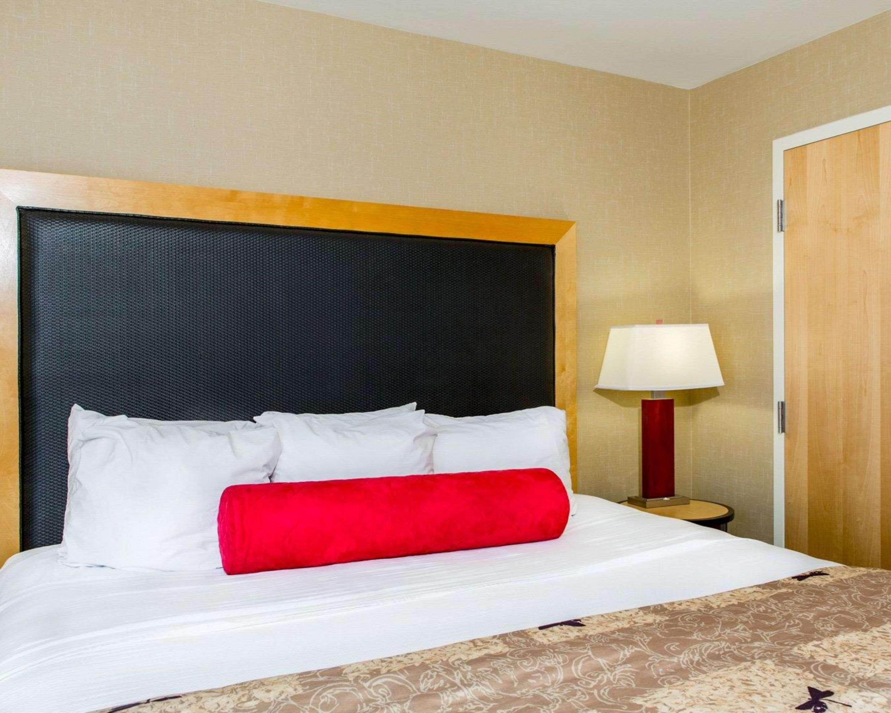 Suite King Bed Non Smoking