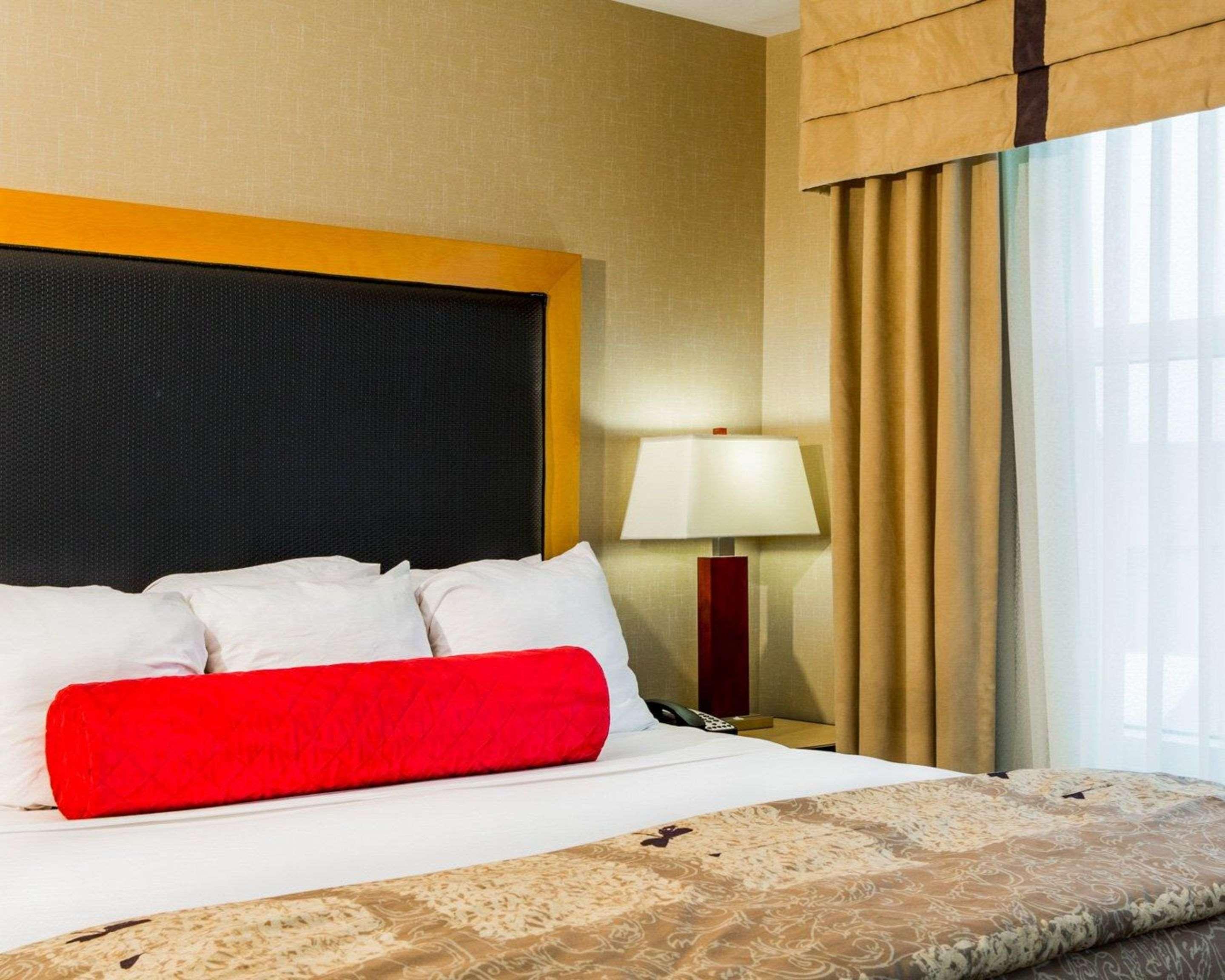 Suite King Bed Non Smoking