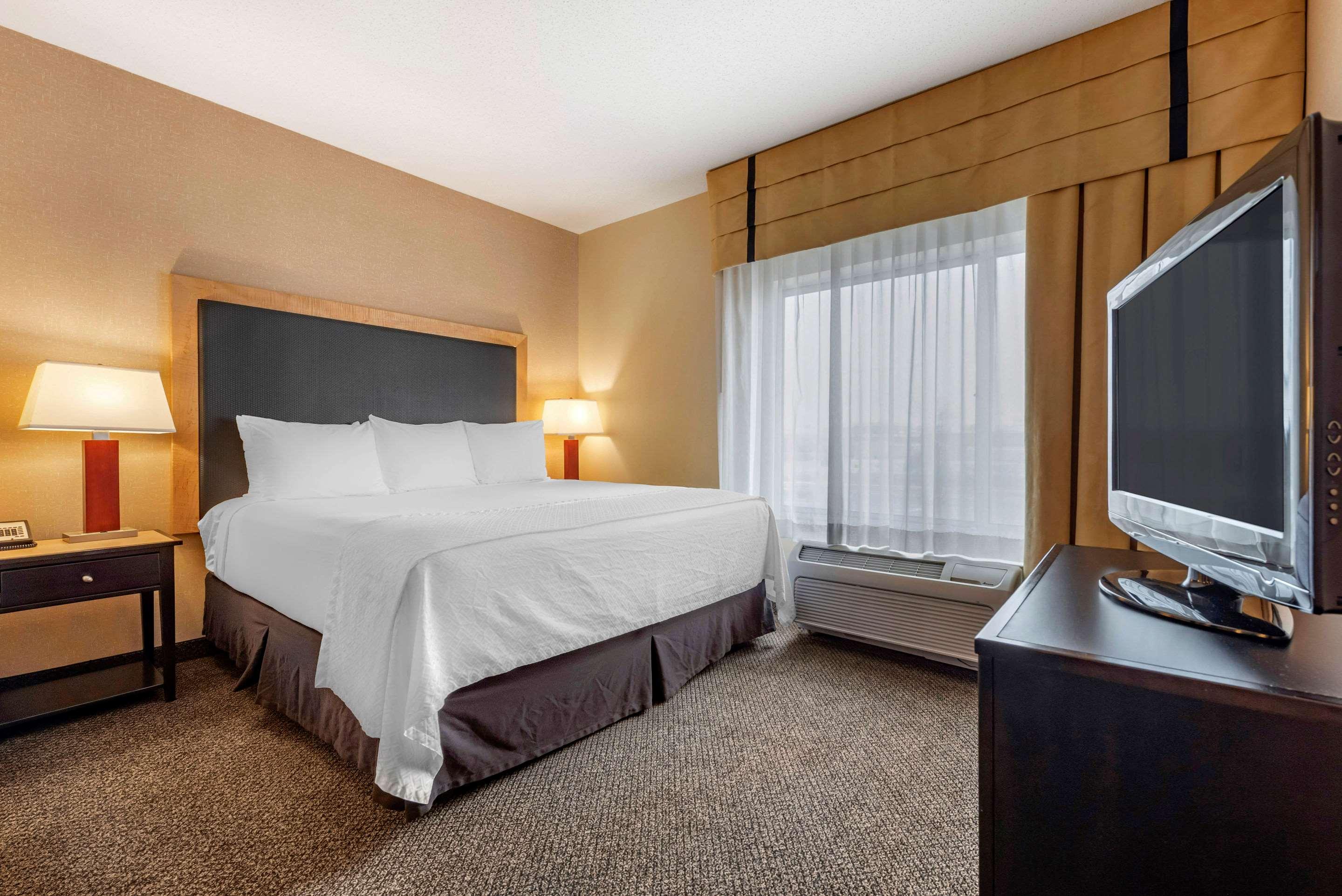 Suite King Bed Non Smoking