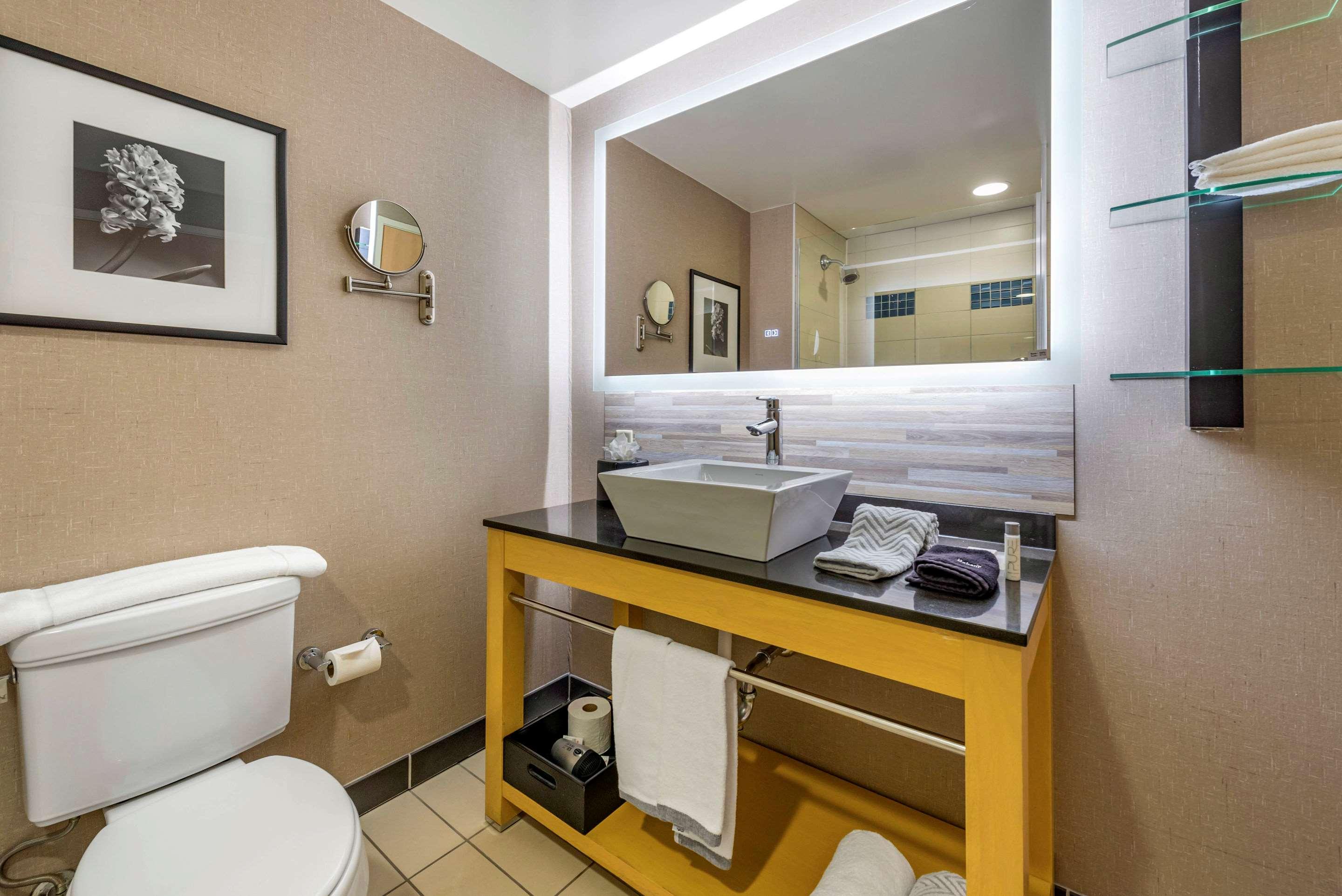 Suite King Bed Non Smoking