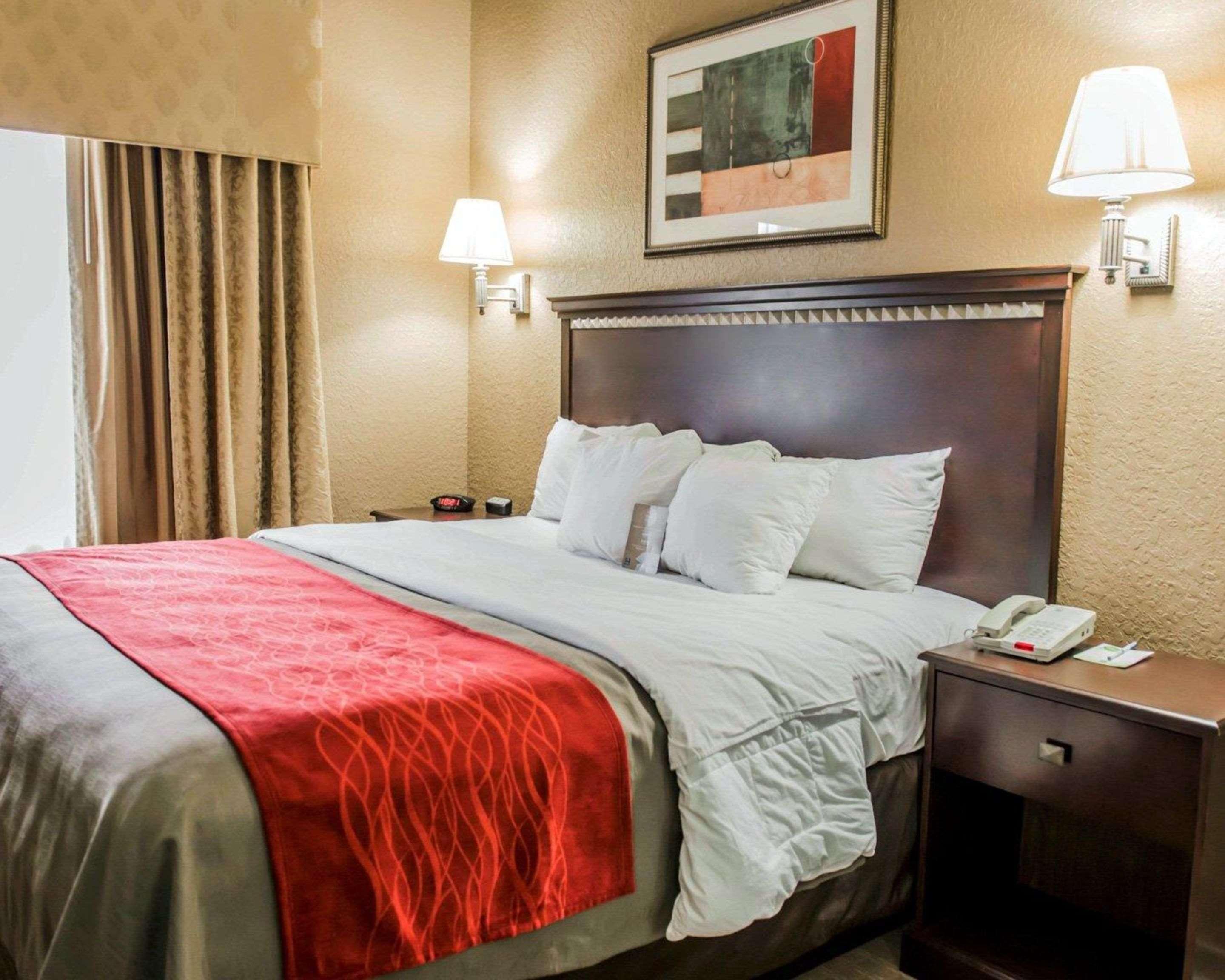 Suite King Bed Non Smoking