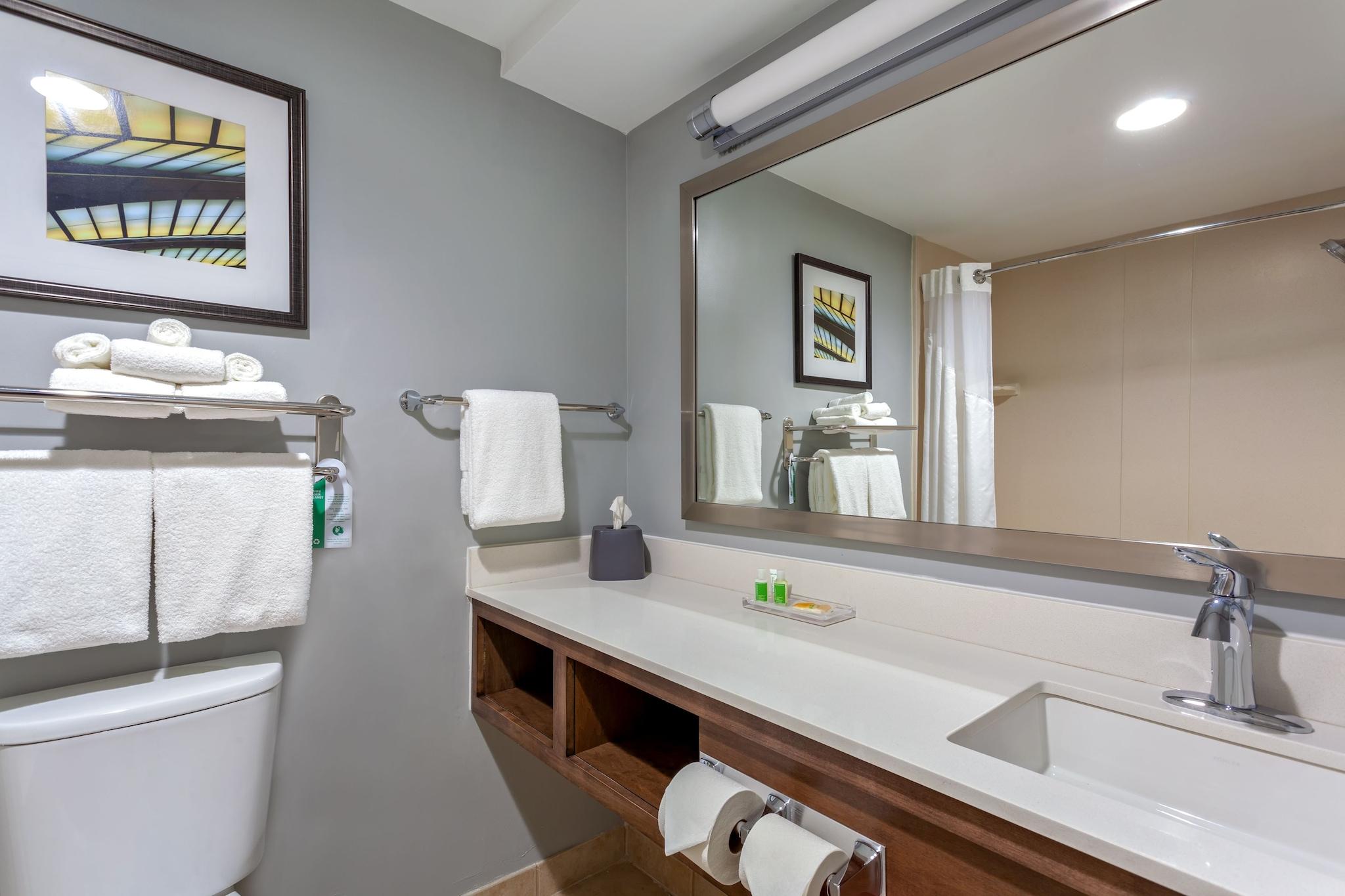 Double Accessible King Size Bed