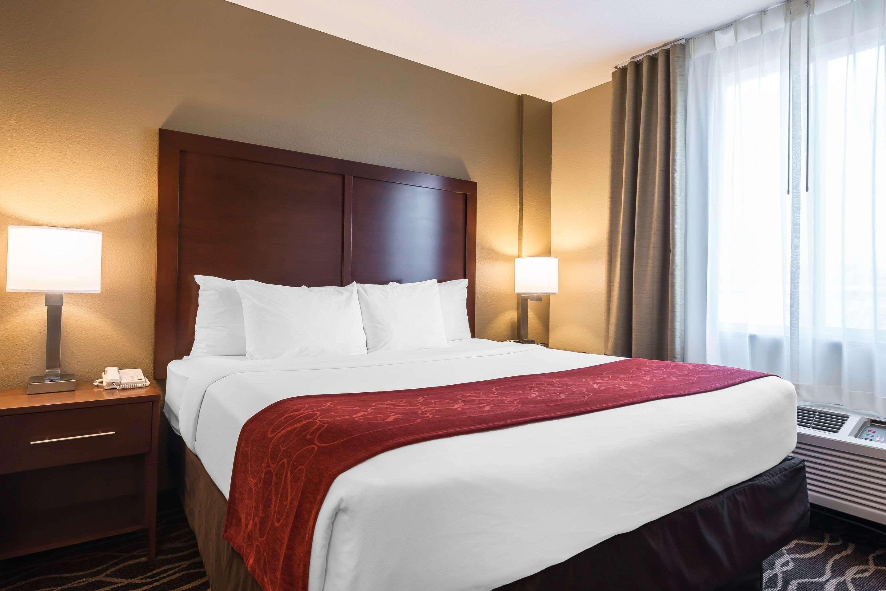 Suite King Bed Non Smoking