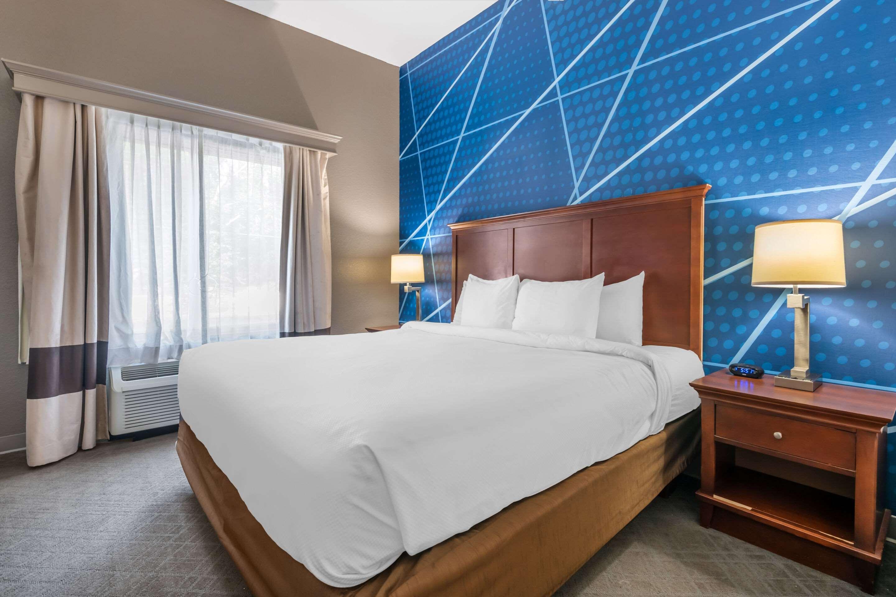 Suite King Bed Non Smoking