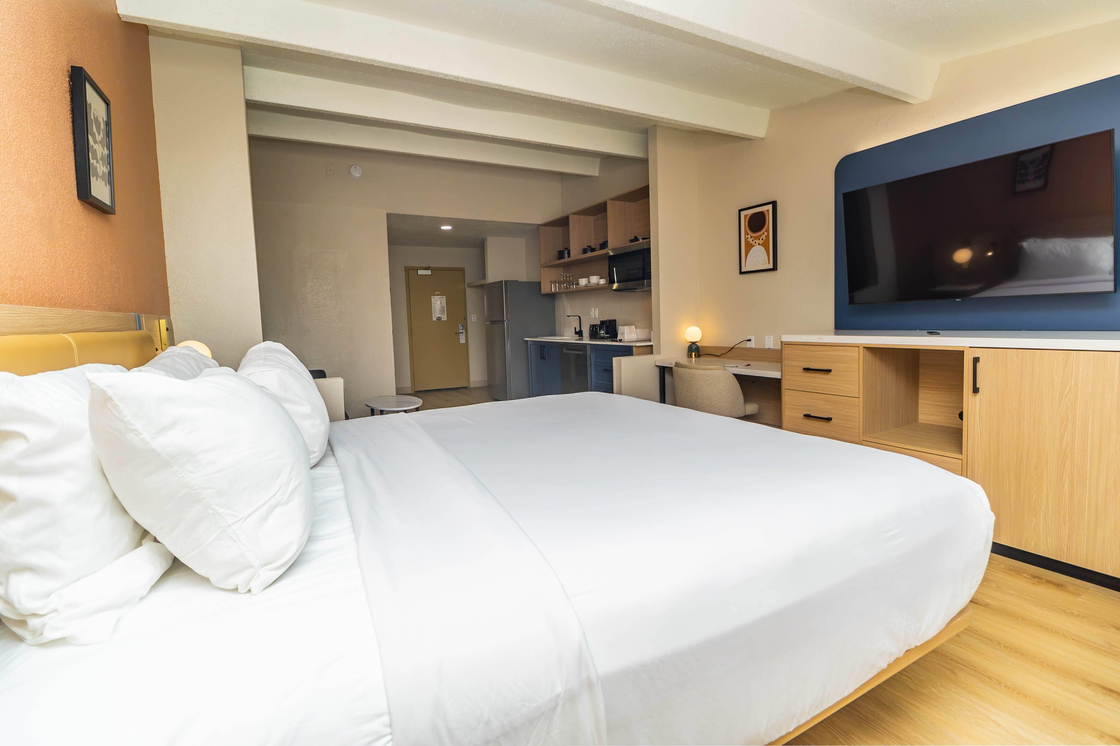 Suite King Bed Non Smoking