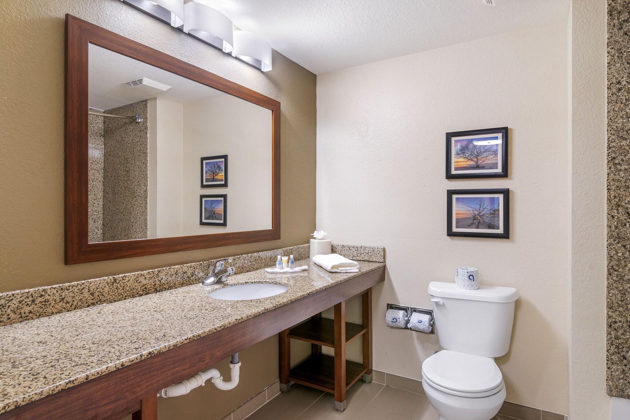 Suite King Bed Non Smoking