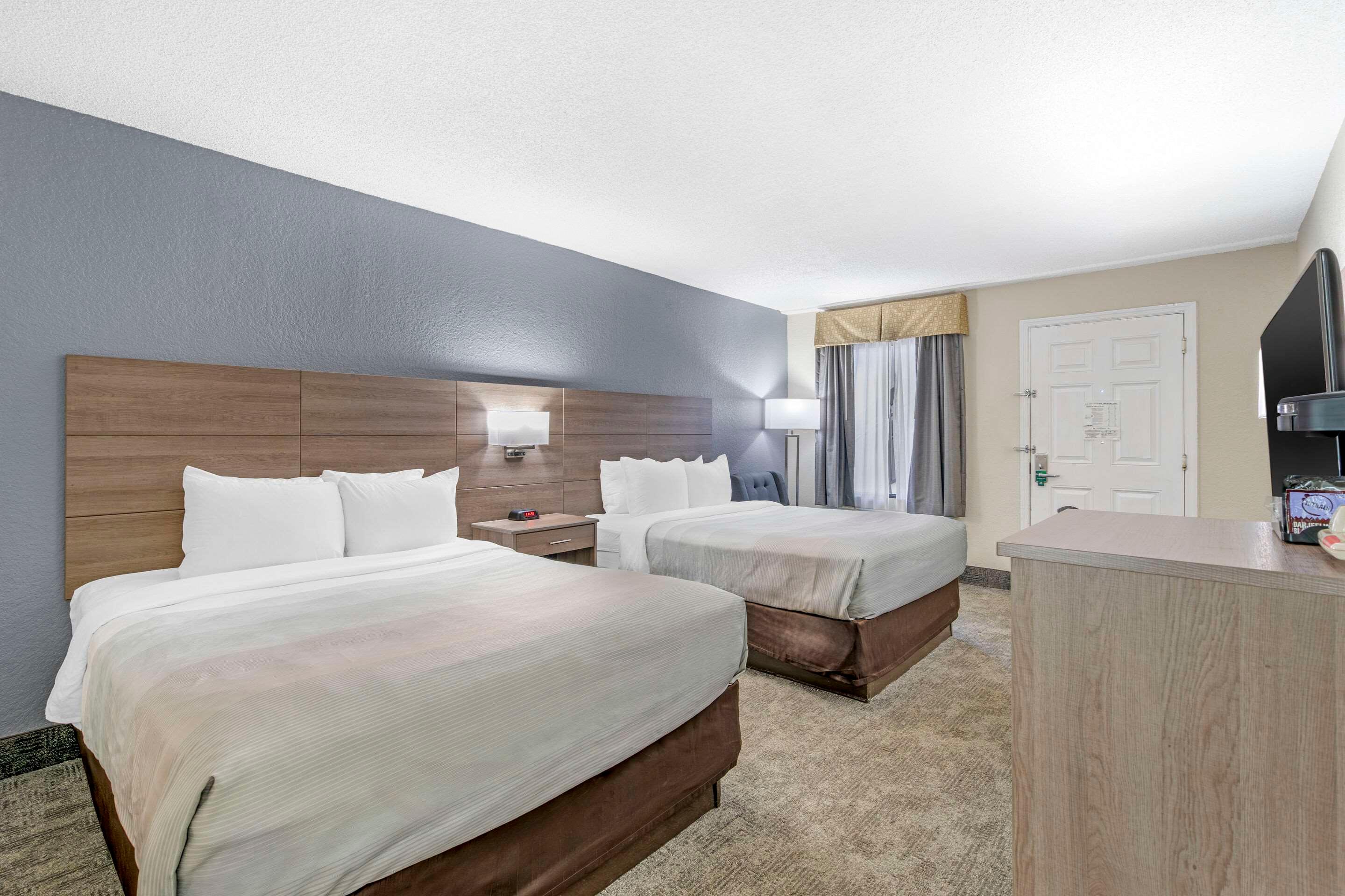 Double Two Queen Beds