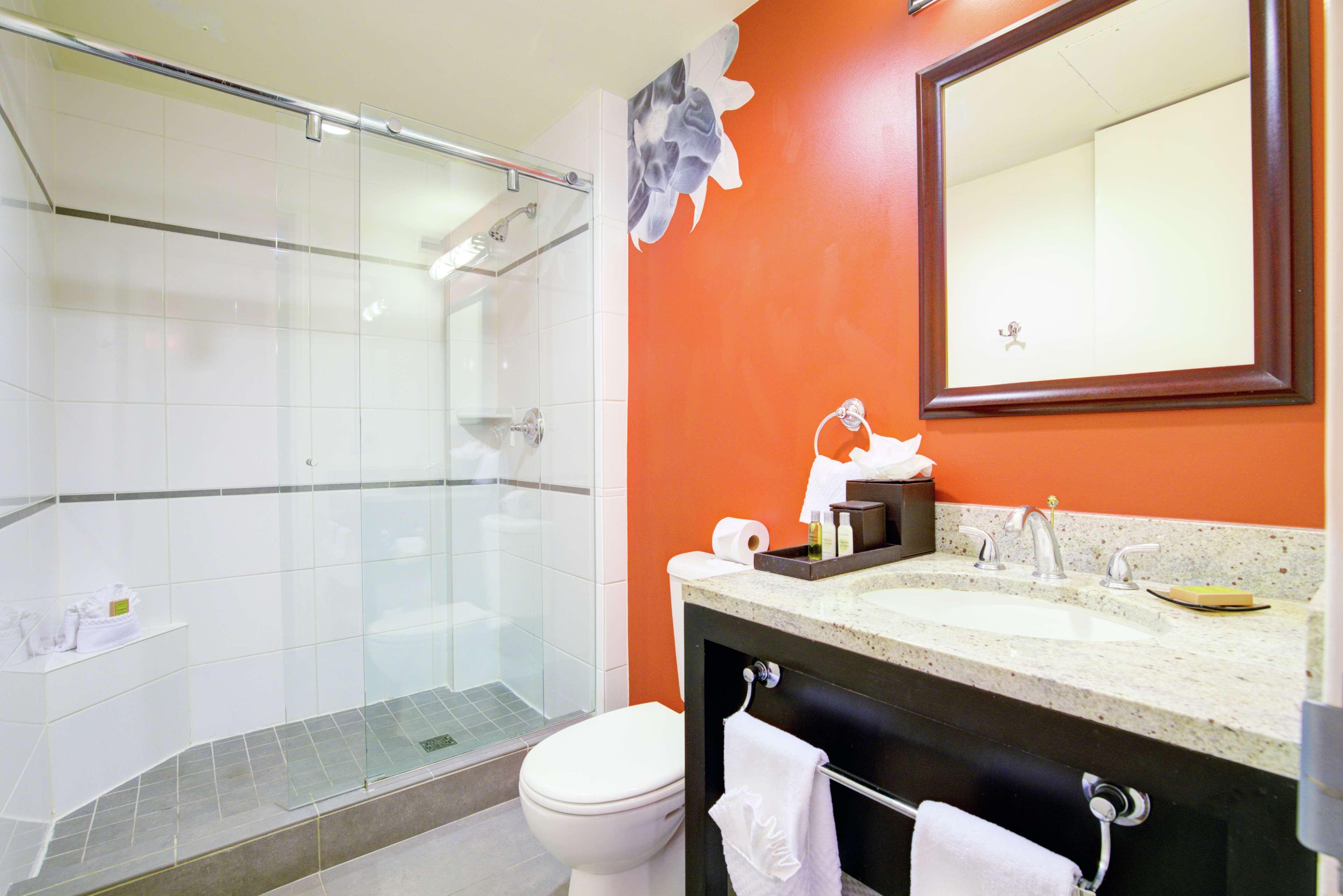 Double King Bed Non Smoking