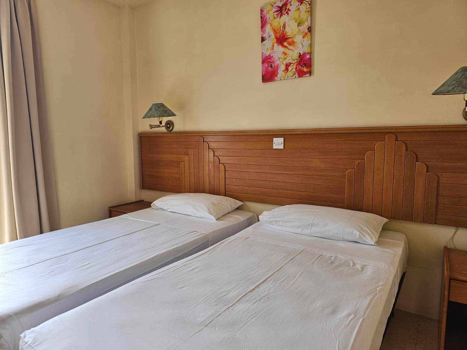 Double or Twin Economy