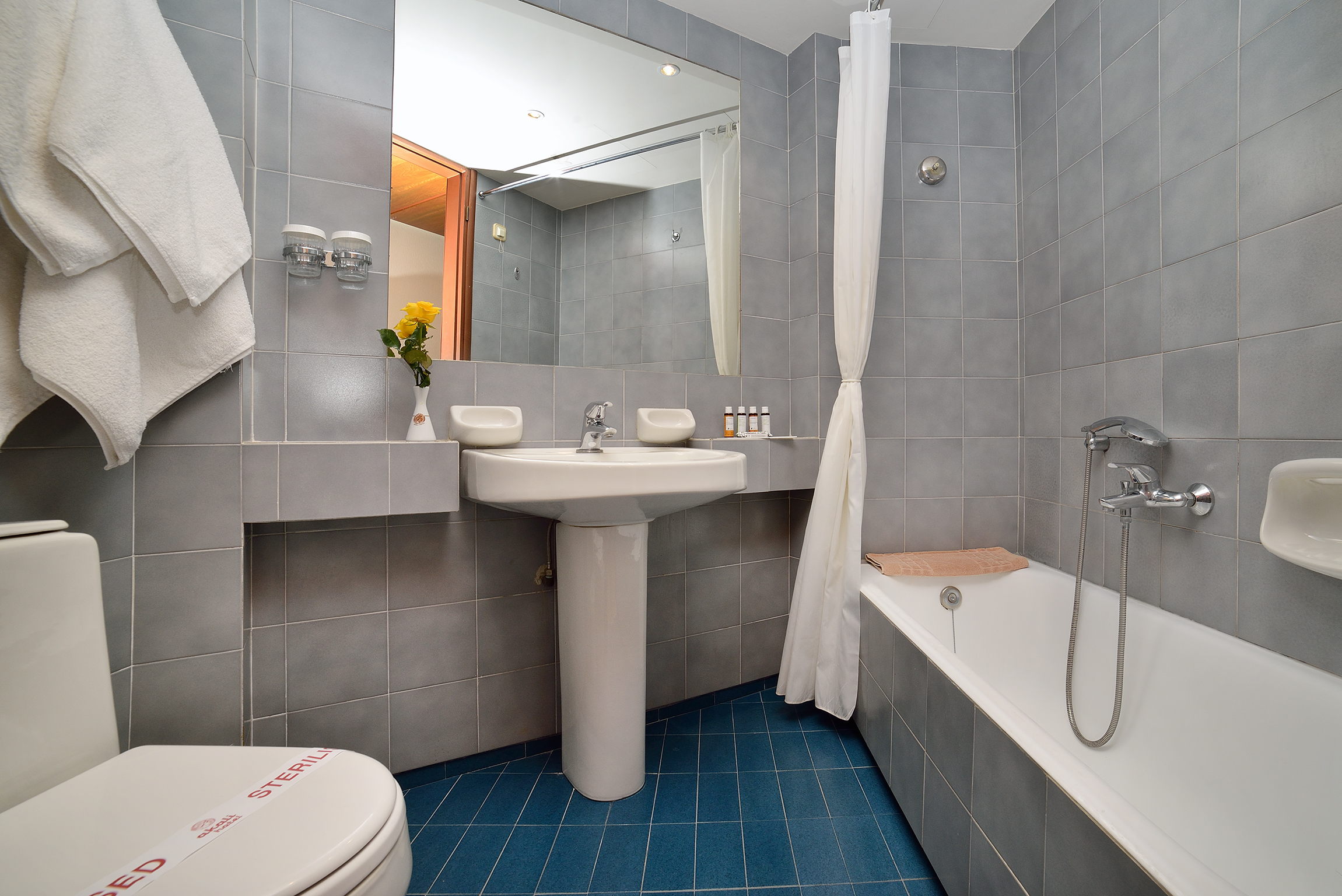 Double or Twin Standard