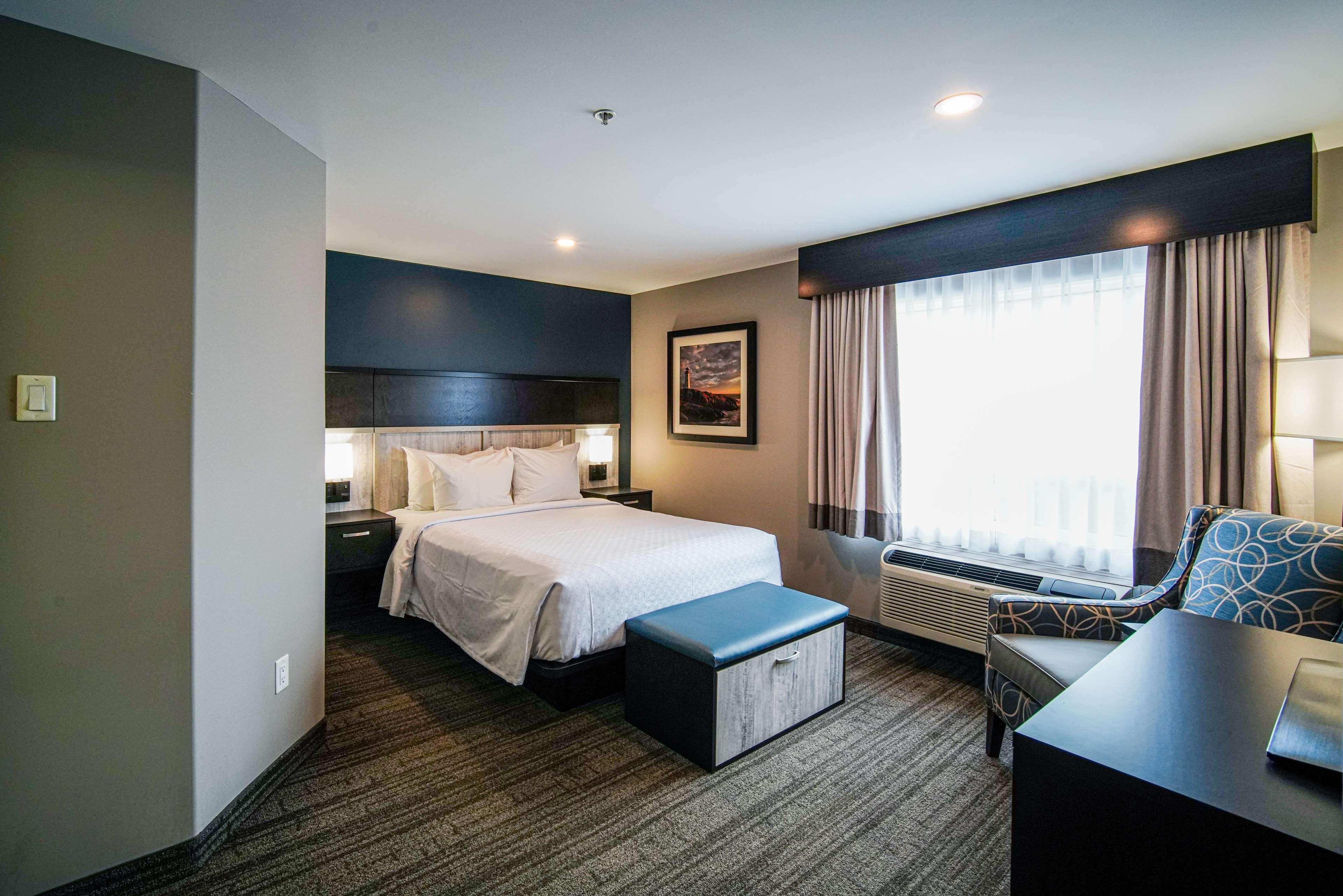 Suite Queen Size Bed