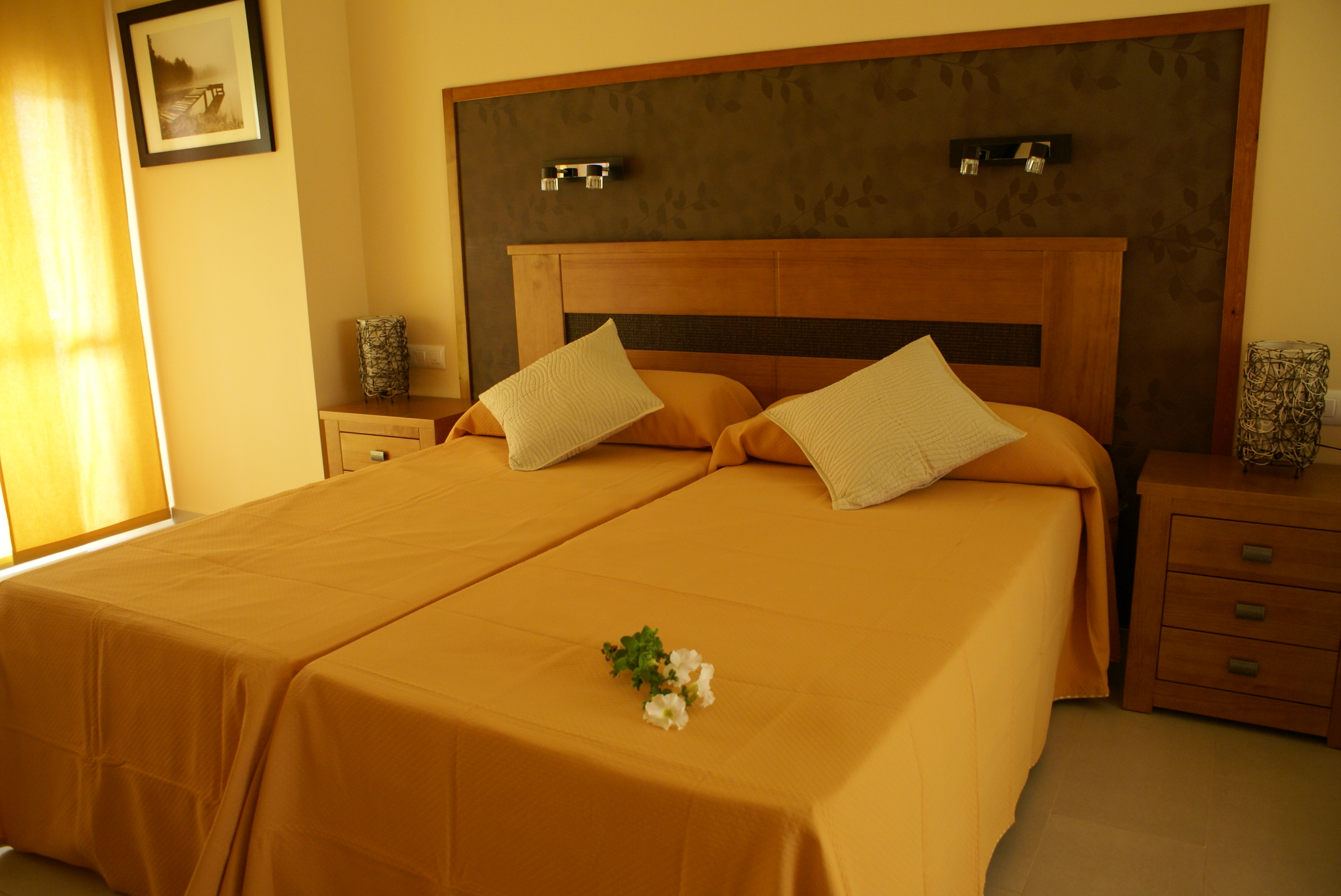 Double or Twin Standard